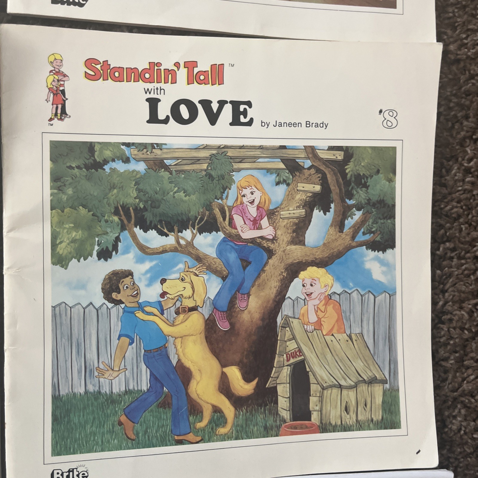 Lot Of 12 STANDIN’ TALL Book Set By Janeen Brady #1-12 Honesty, Courage, Love…