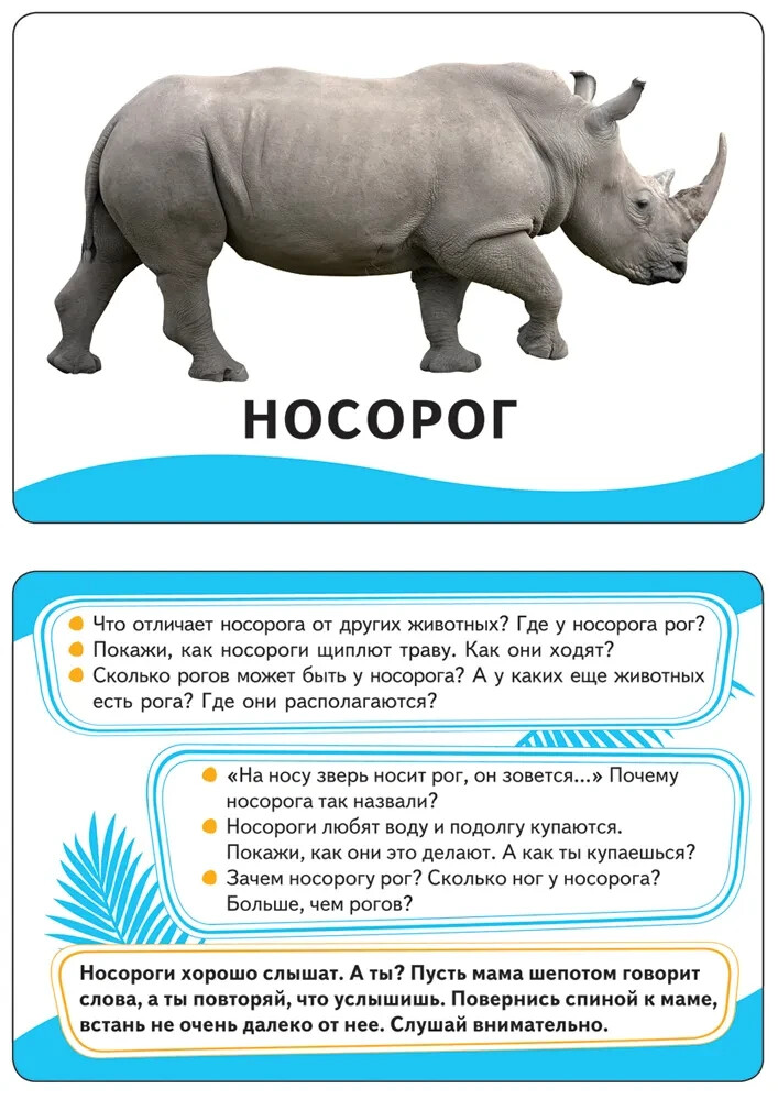 Животные. Развивающие карточки 0+ Kids Book in Russian