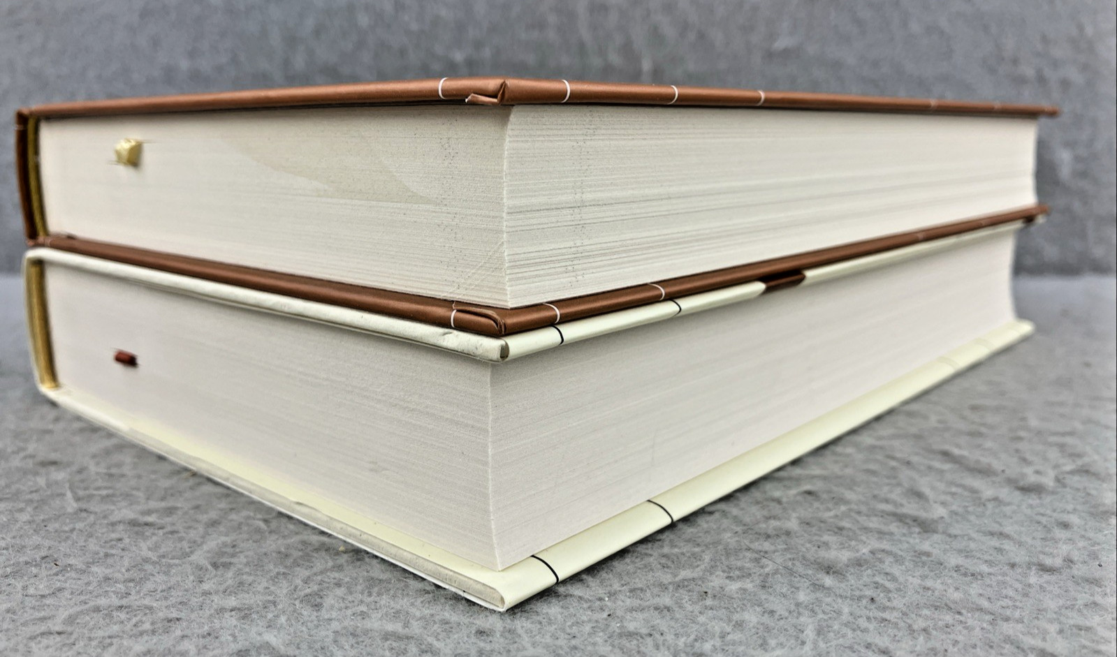 The DAILY STOIC Boxed Book Set by Ryan Holiday and Stephen Hanselman 2 Volumes