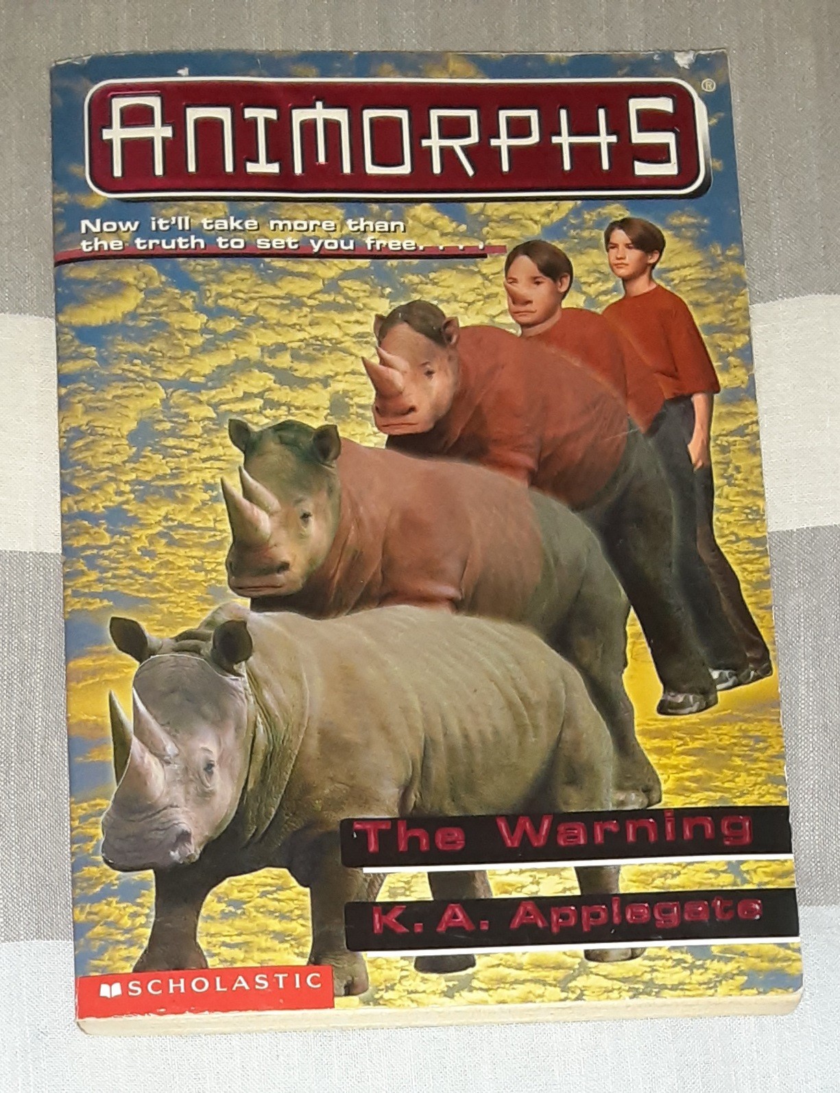 Animorphs Book Lot of 21 (K.A. Applegate, Paperback)