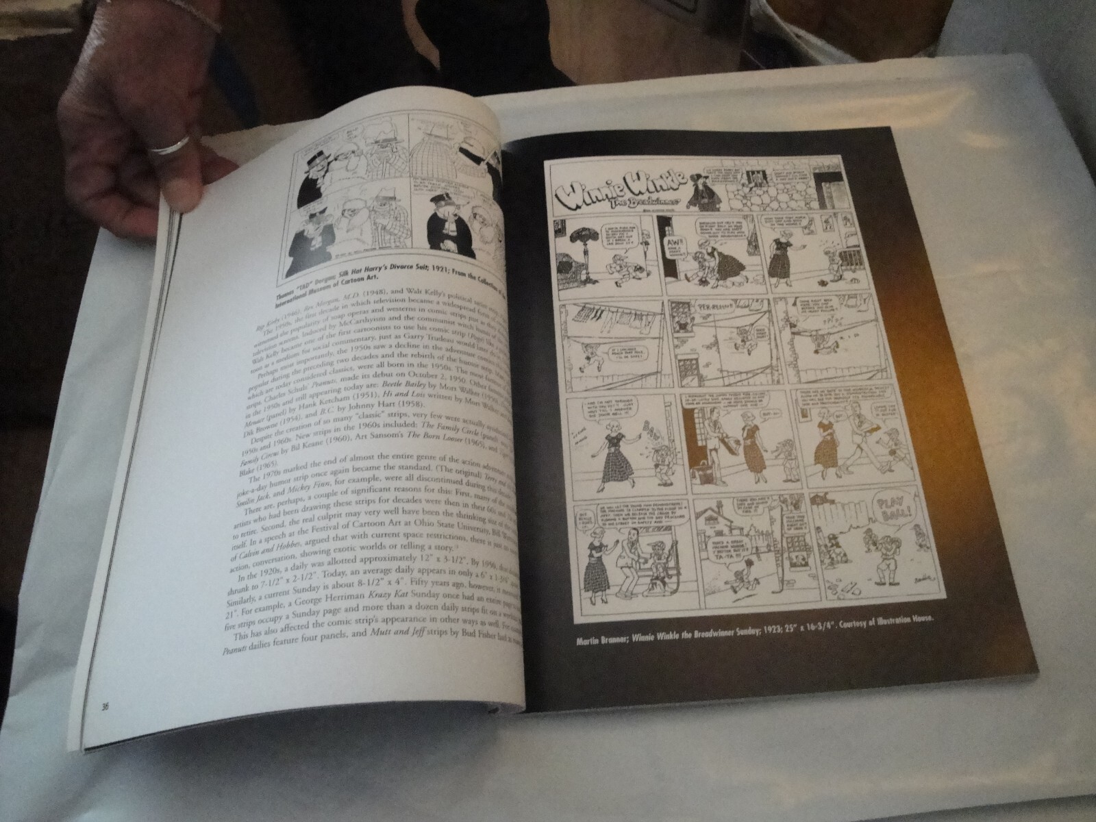 COLLECTING ORIGINAL COMIC STRIP ART! by Jeffrey M. Ellinport 135 pages 1st 1999