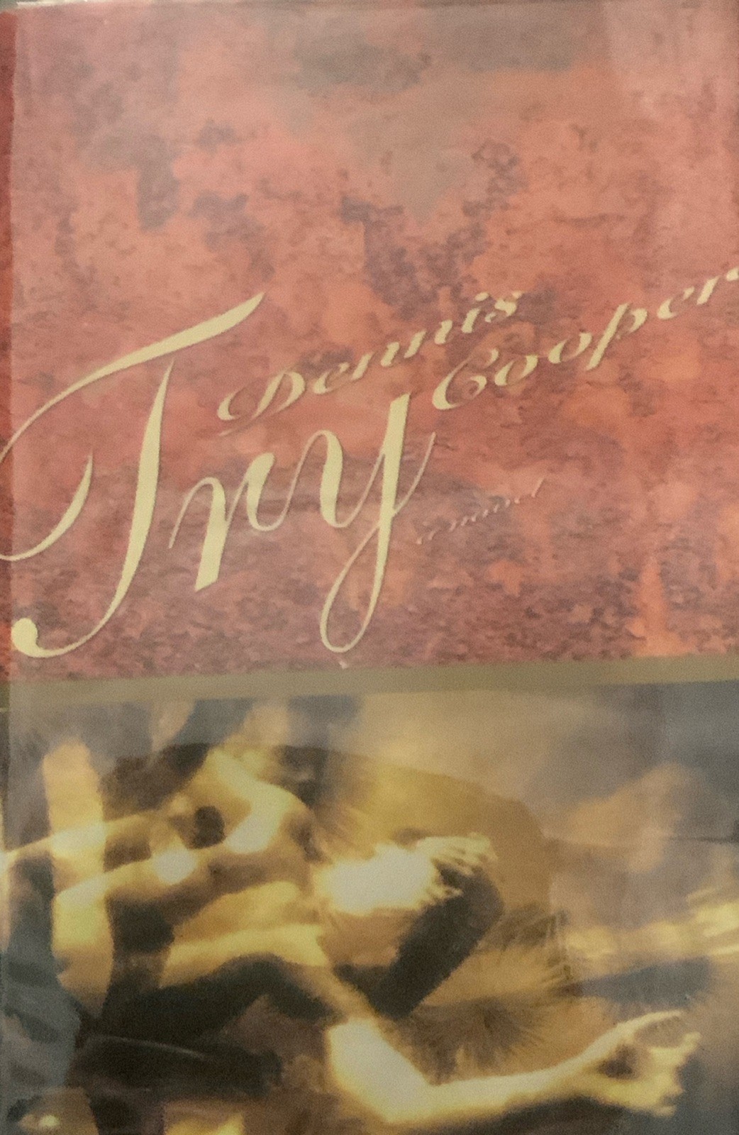 Try by Dennis Cooper (1994, Hardcover) First Edition stated. With mylar covering