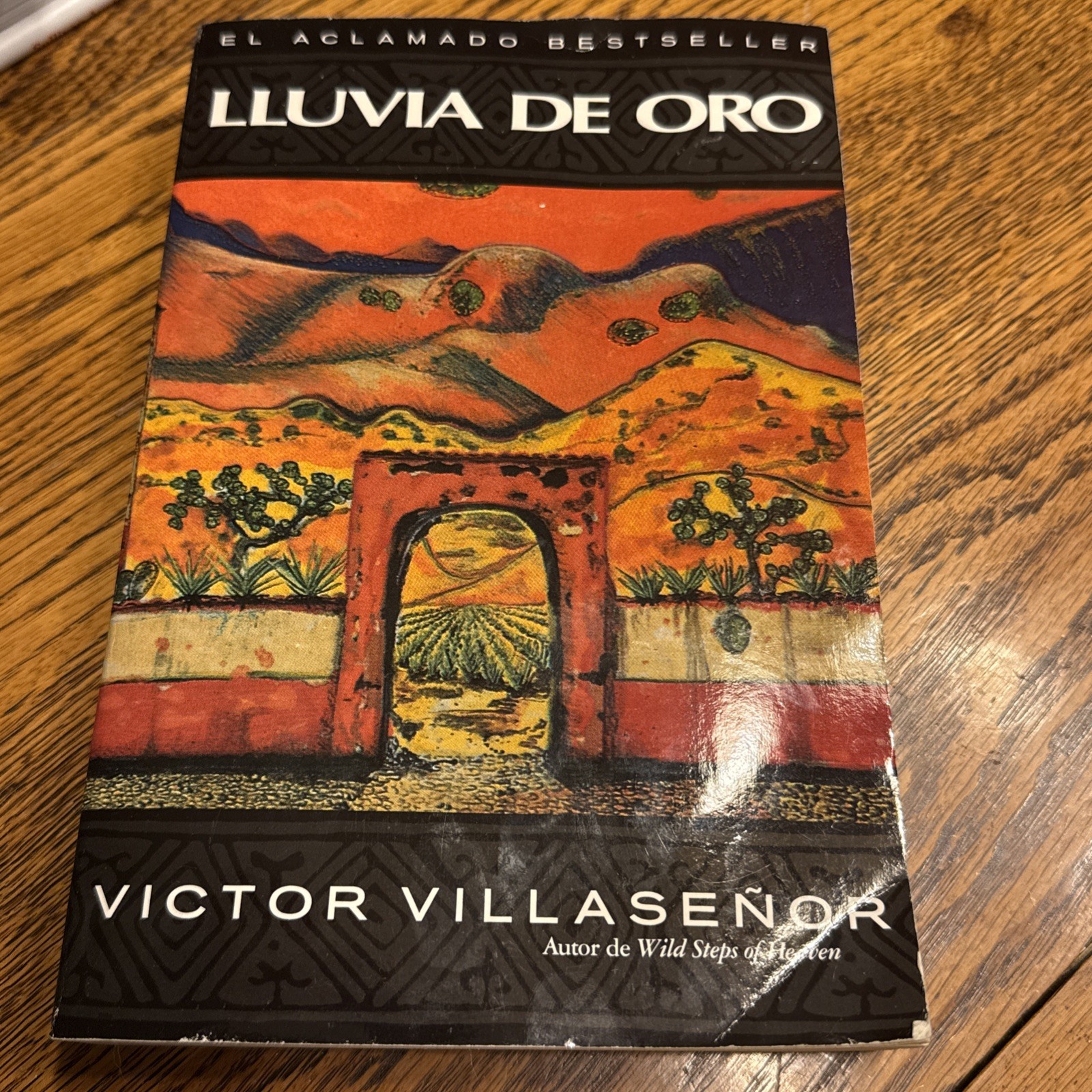 Lluvia de Oro by Victor Villasenor 1996 PBK