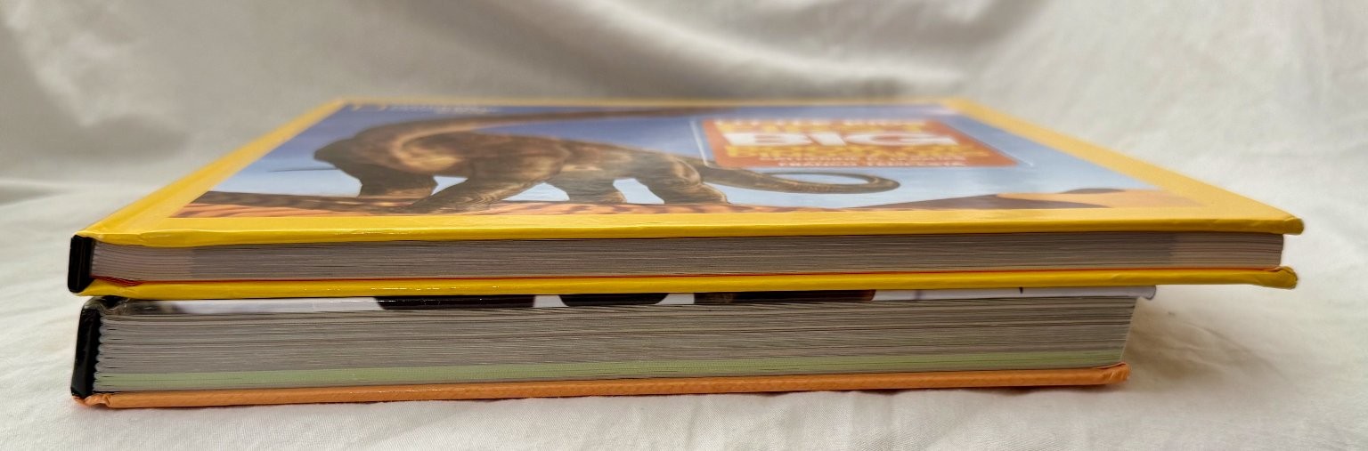 Lot 2 Dinosaur books National Geographic Kids Dino-Pedia and First Big Book