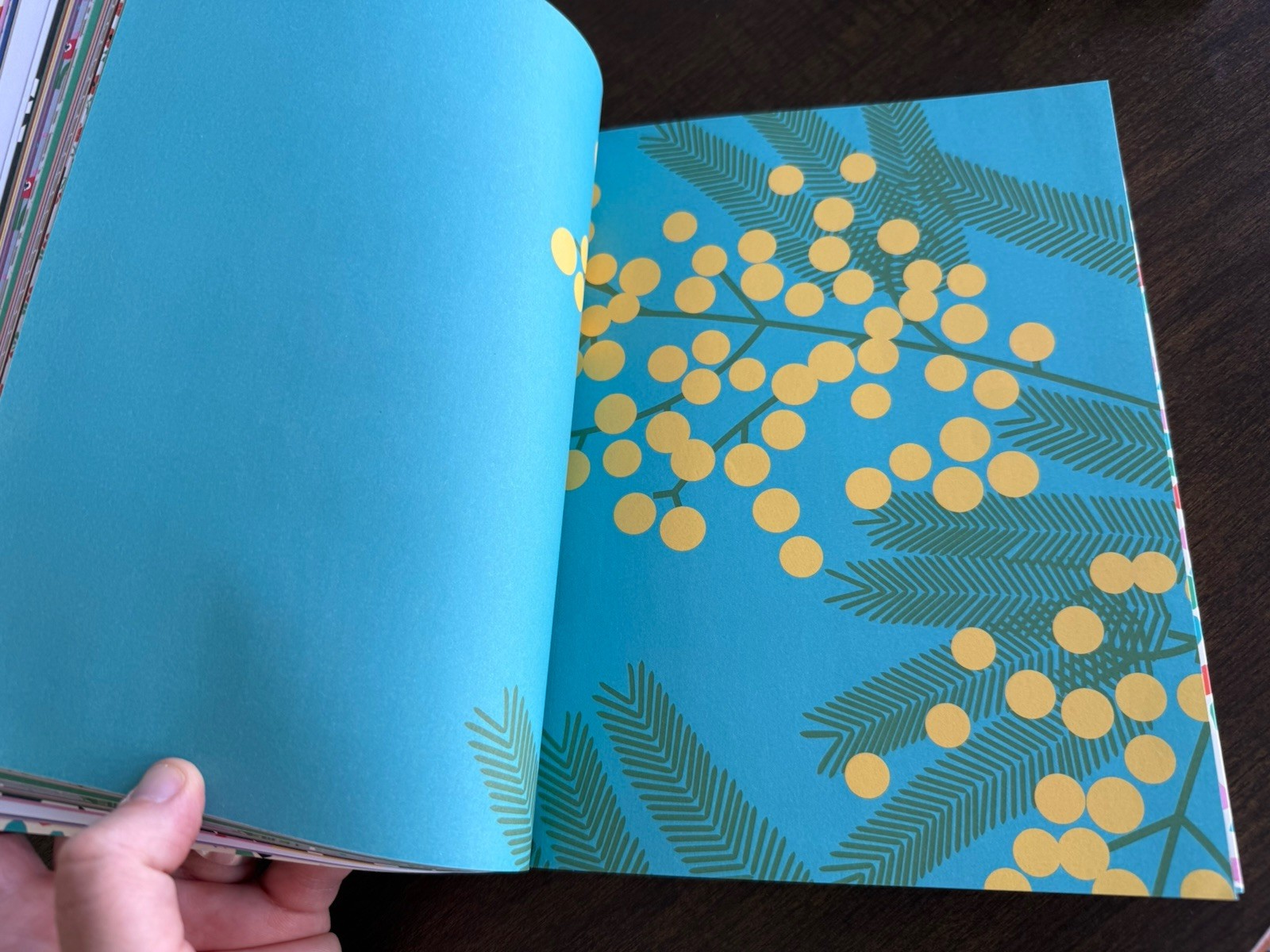 All You Need Is Paper : 230 Detachable Pages of the Cutest Patterns, Cards RARE