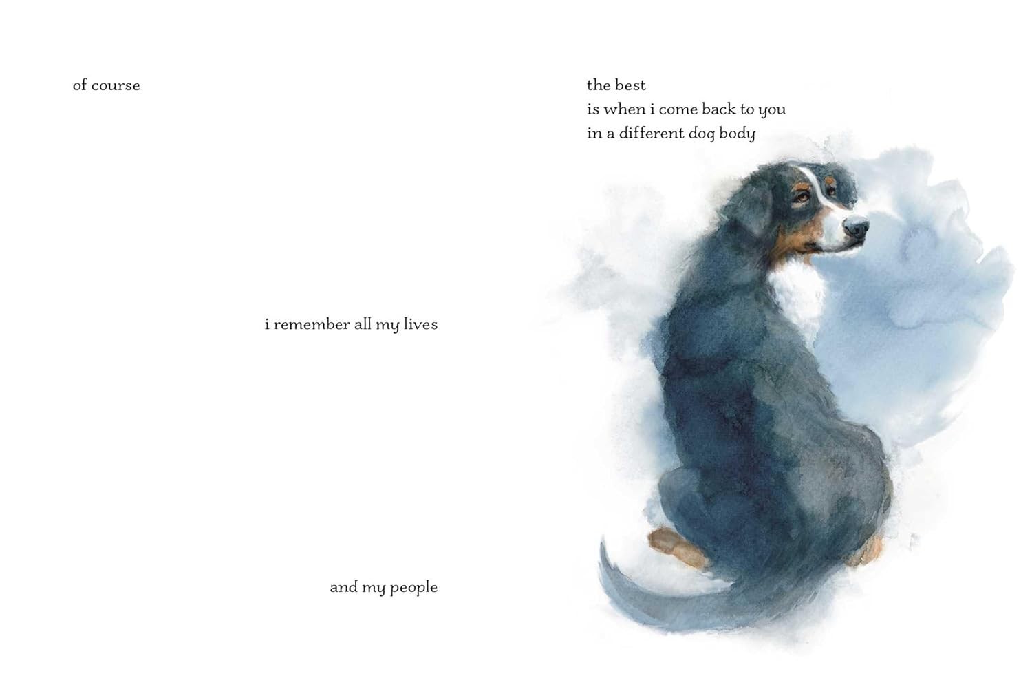 I’m Still Here: A Dog’s Purpose Forever (Hardback or Cased Book)
