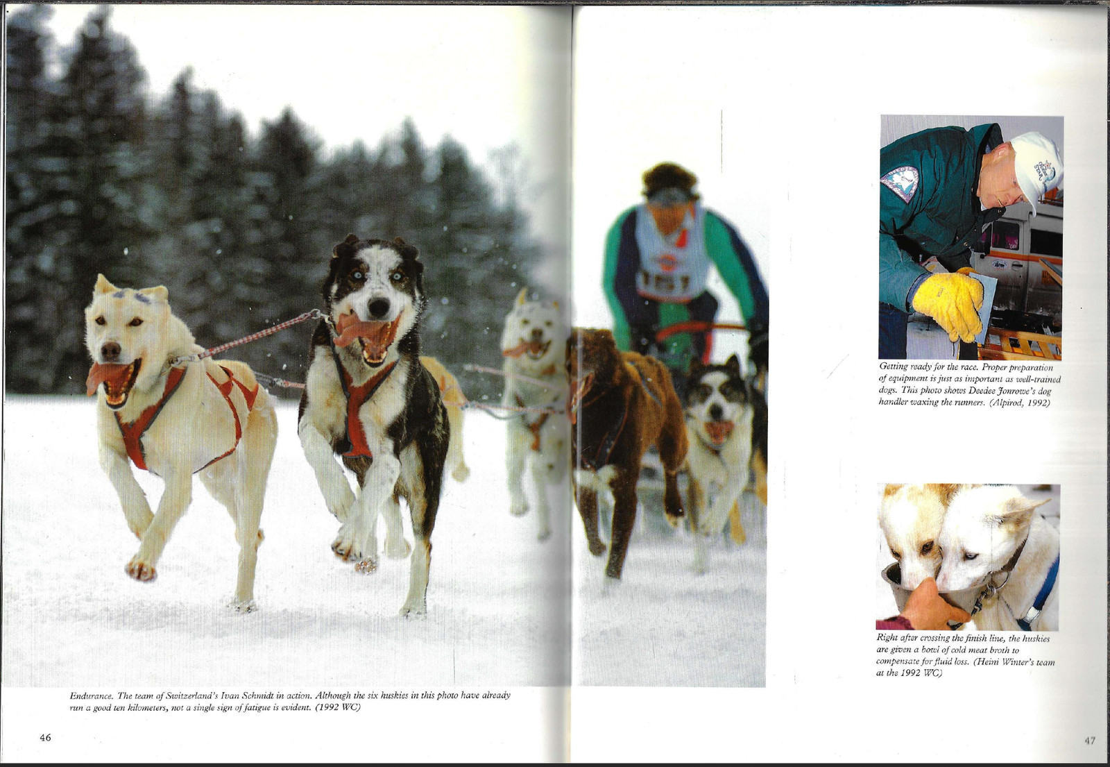 Huskies in Action – Sled Dog Racing ; by Rico Pfirstinger – Hardcover Book