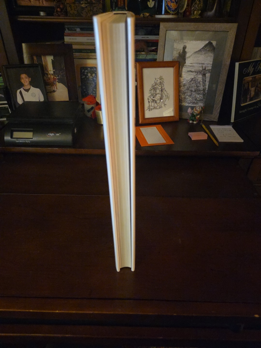 Curse of Lono by Hunter Thompson Ralph Steadman (2005, Hardcover) Taschen 15×11