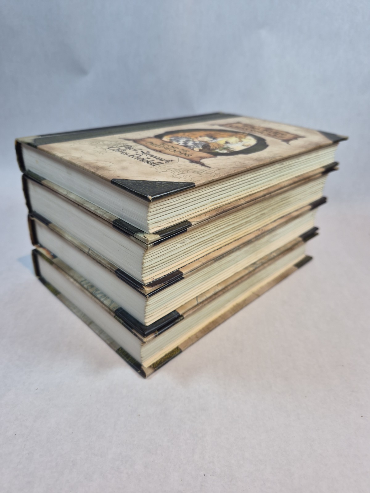 Lot of 4 – Hardcover Books of The Edge Chronicles 1-4 Paul Stewart Chris Riddell