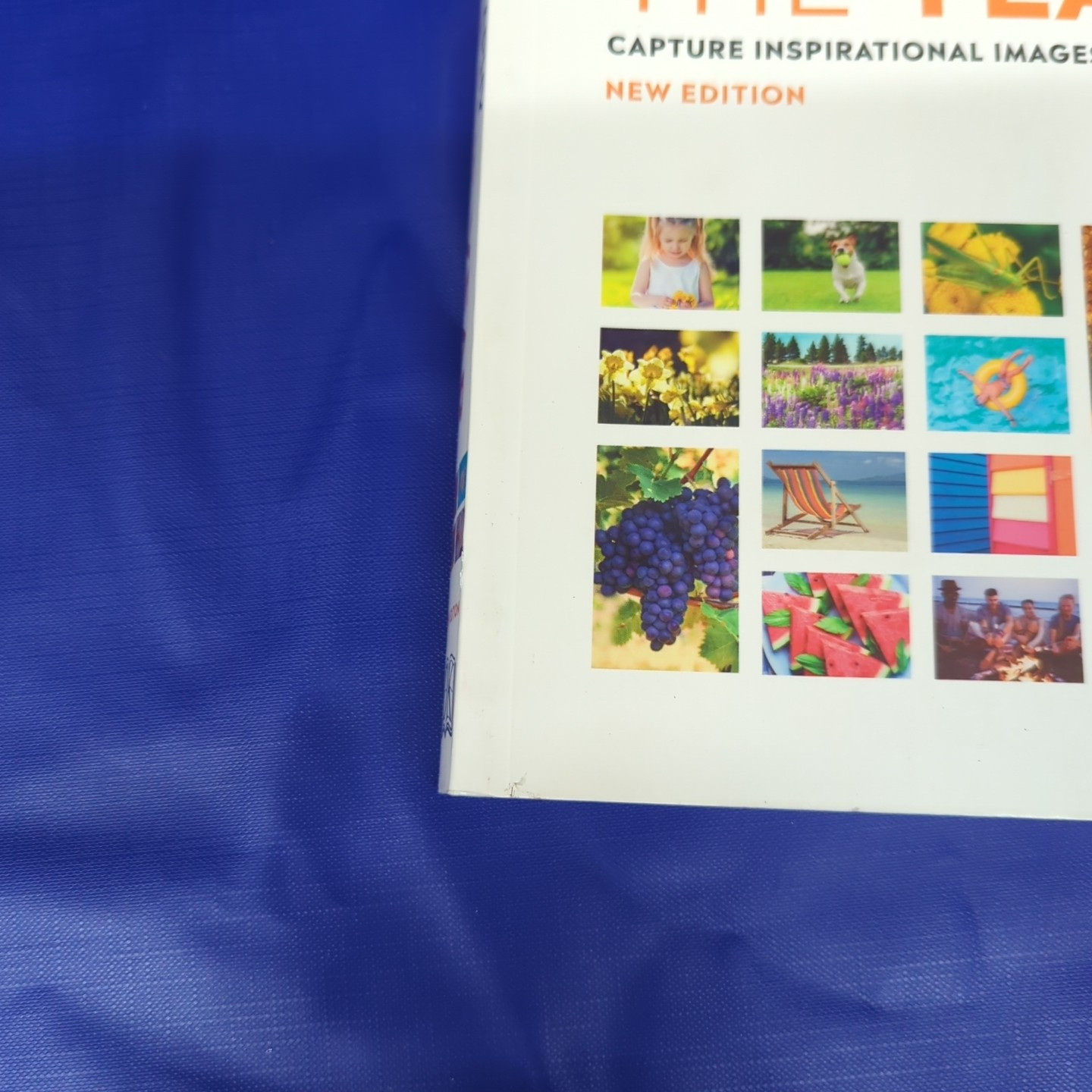 Digital Photography Through the Year Ang, Tom Very Good