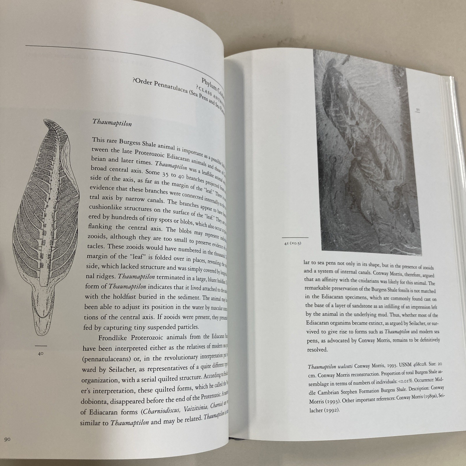 Fossils of the Burgess Shale HC DJ Collier, Erwin & Briggs 1994 Smithsonian Good