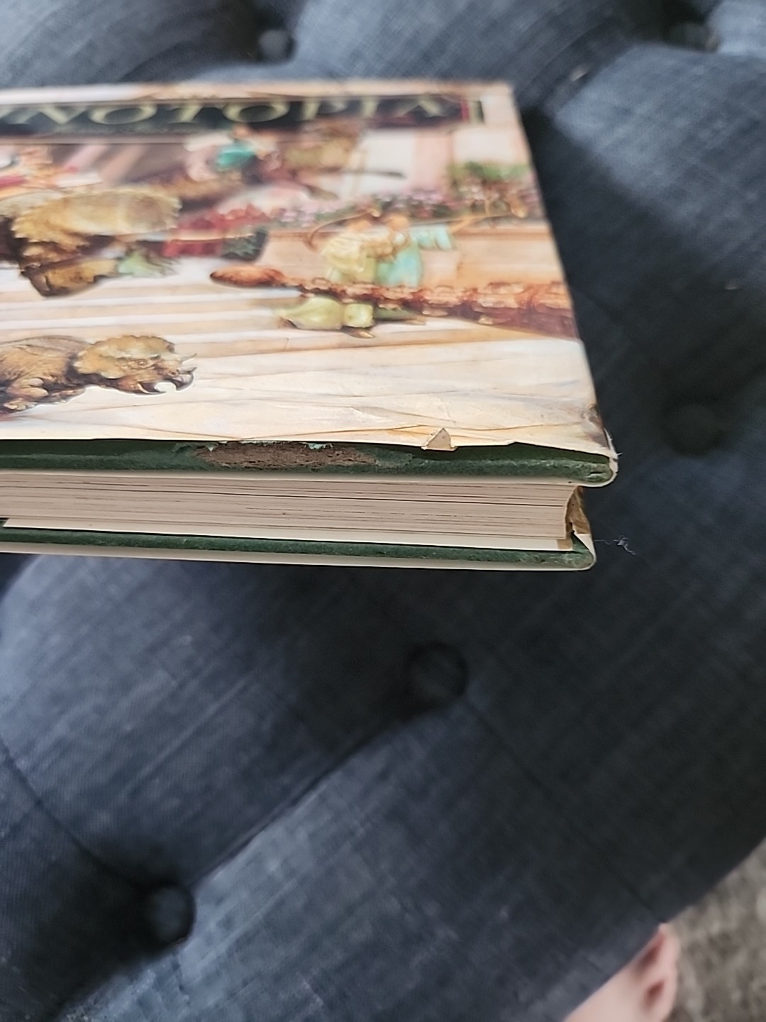 Dinotopia, Book – First Edition – Hardcover By Gurney, James