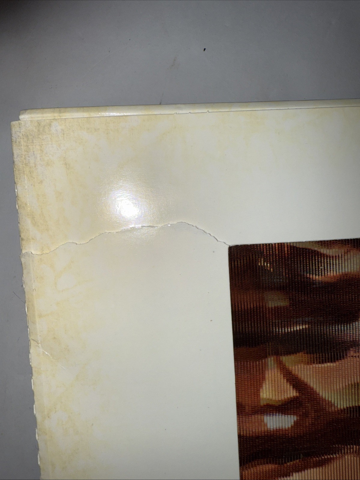 Dinosaur A Photicular Book Created By Dan Kainen Written By Kathy Wollard. Used