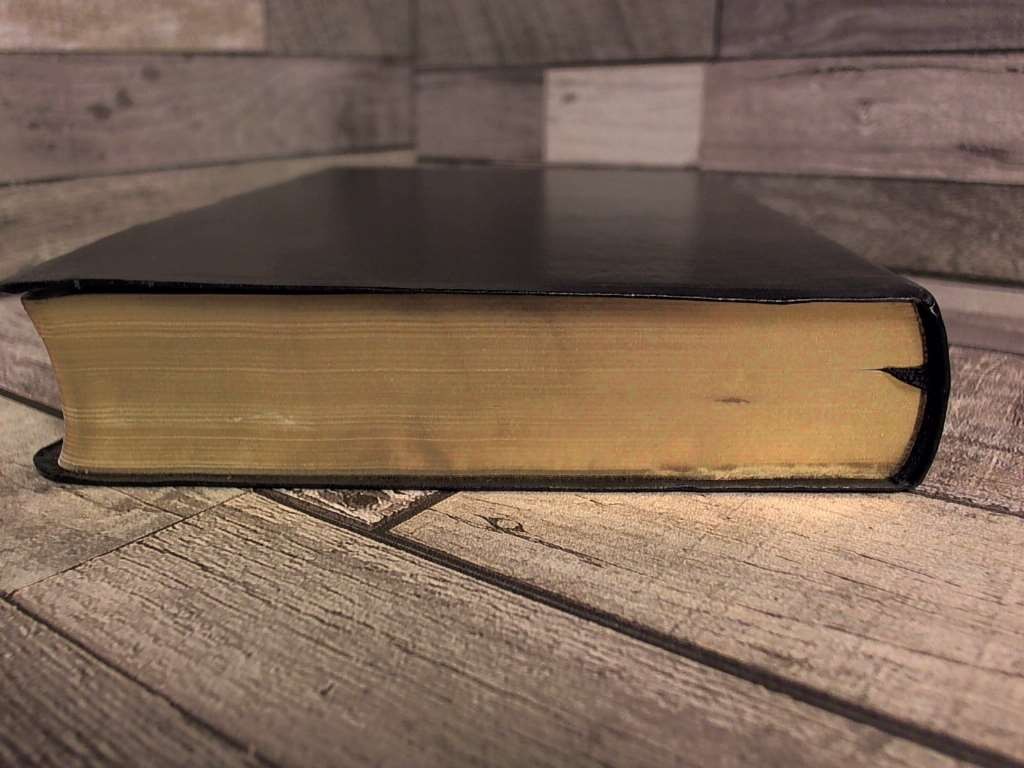 HCSB Hand Size Giant Print Reference Bible, Black Simulated Leather Indexed by