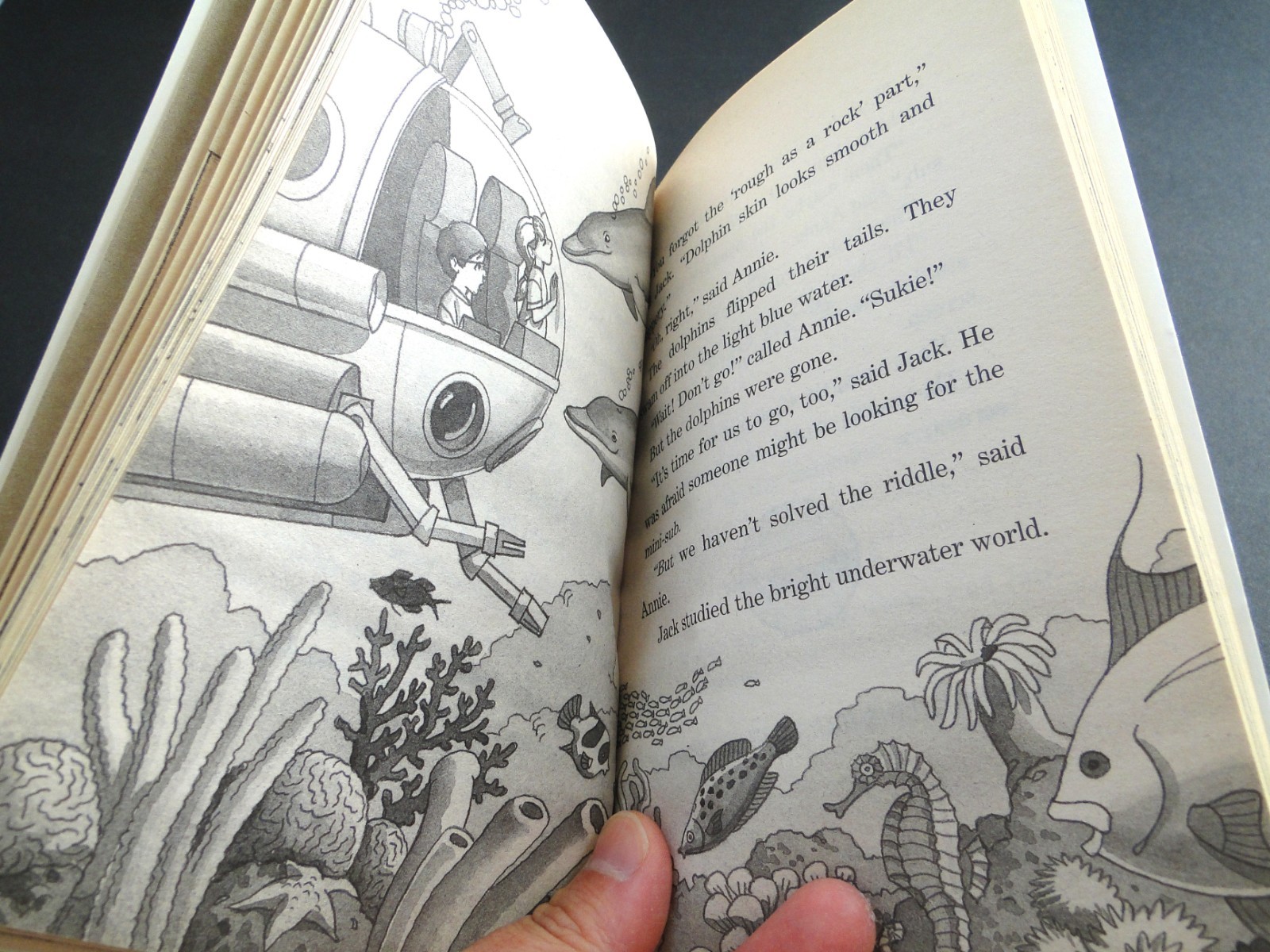 1997 Magic Tree House: Dolphins at Daybreak #9 by Mary Pope Osbourne