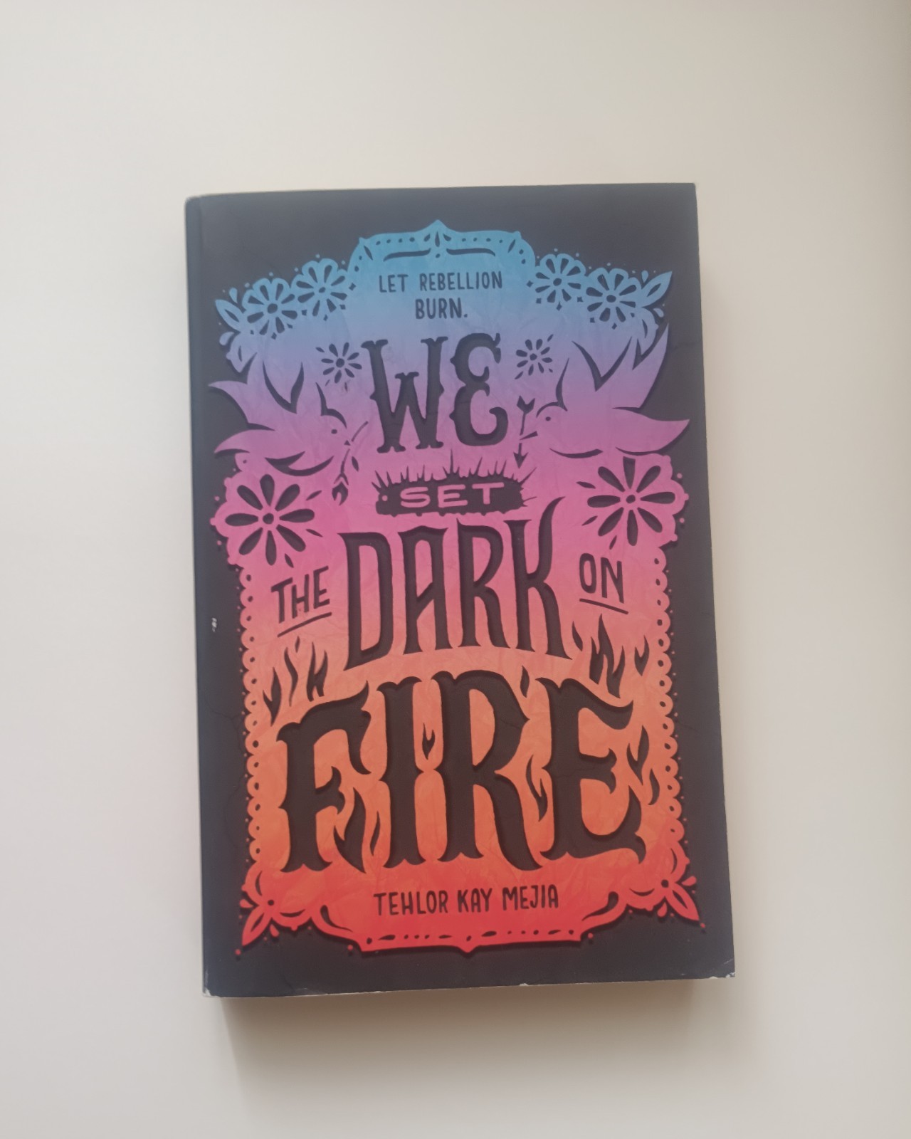 We Set the Dark on Fire Duology – Tehlor Kay Mejia (Paperback and Hardcover)