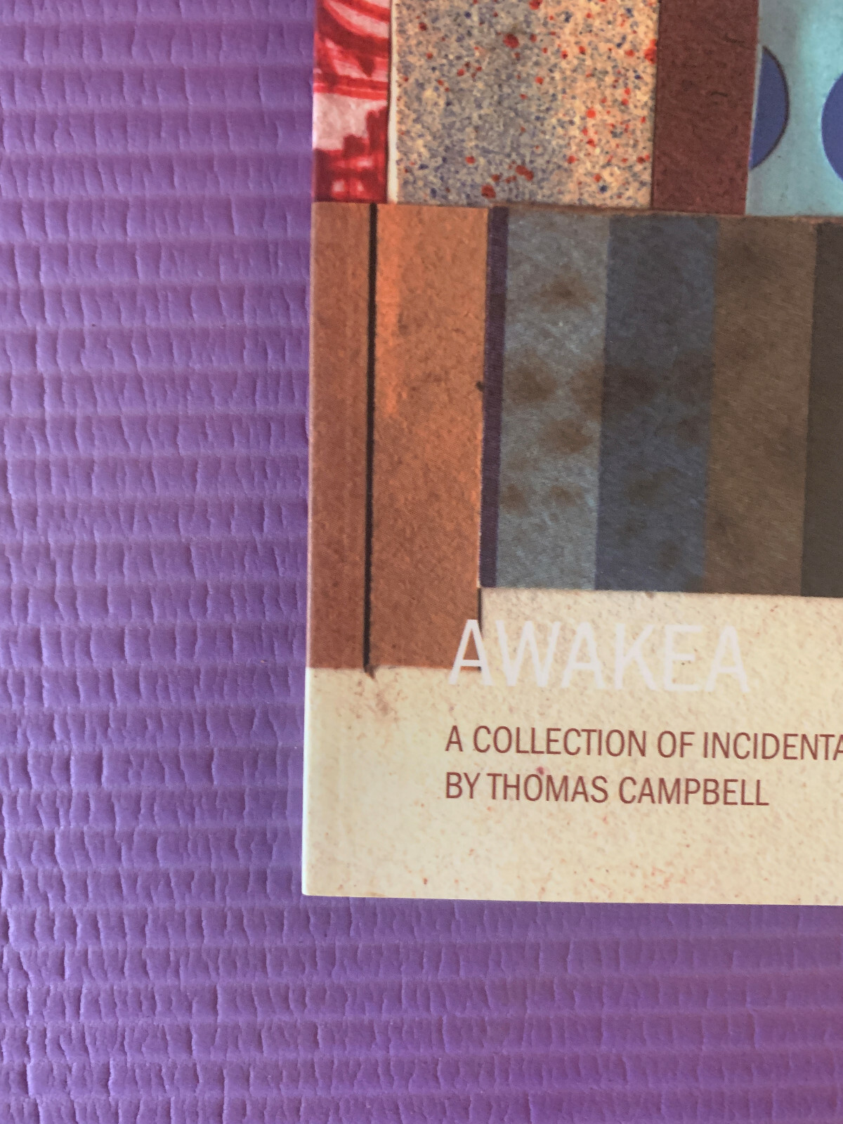 Awakea: A Collection of Incidentals by Thomas Campbell #/1000 Beautiful Losers