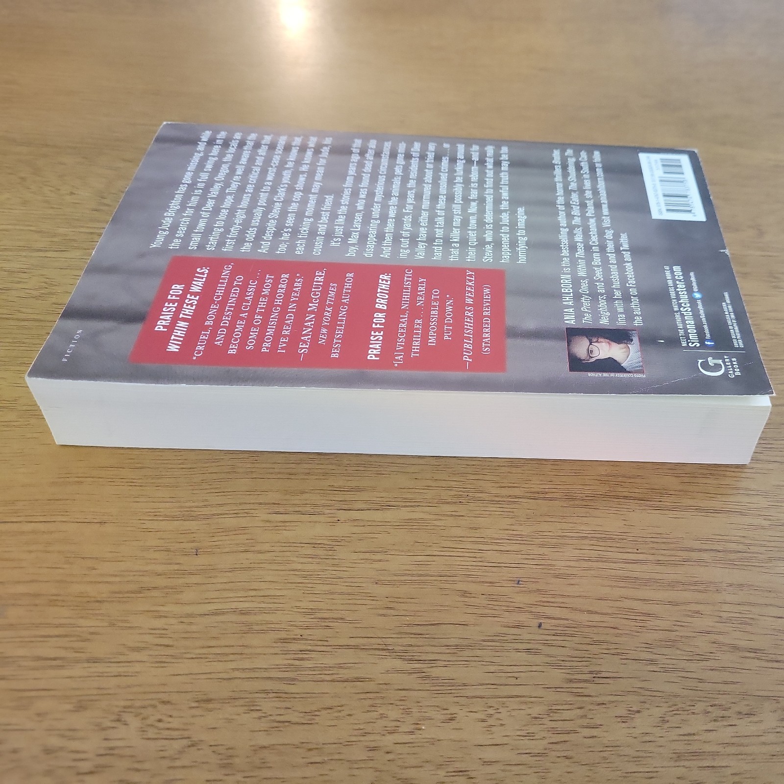 THE DEVIL CREPT IN – ANIA AHLBORN – Gallery Books Trade Paperback 2017