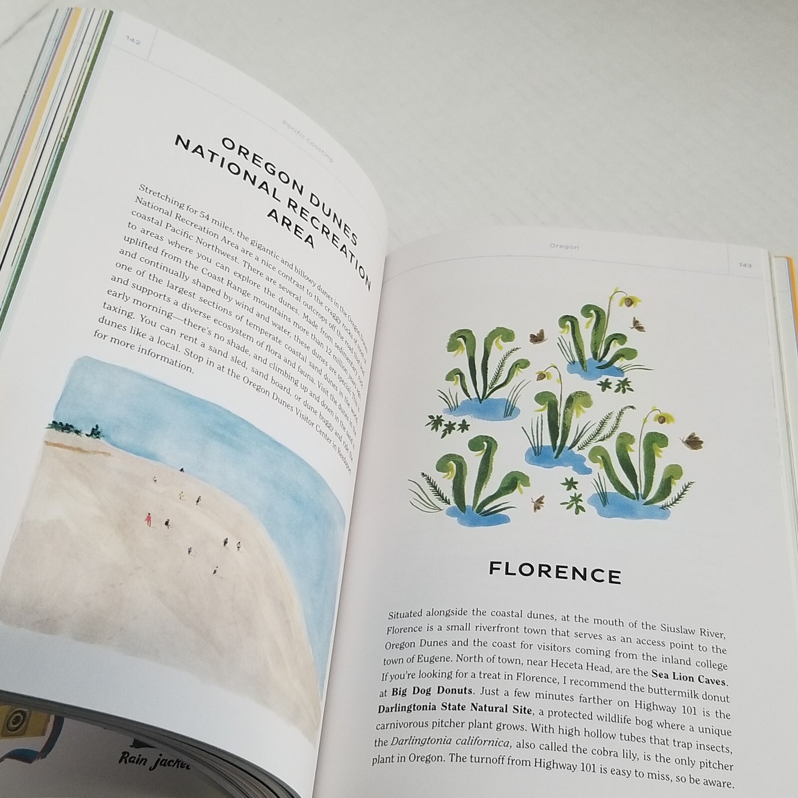 Pacific Coasting by Danielle Kroll A Guide to The Ultimate Road Trip HC 2020