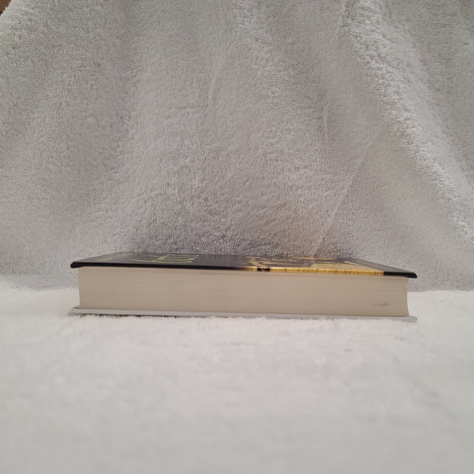 1929 : A Novel of the Jazz Age *** Large Print*** Hardcover Frederick Turner