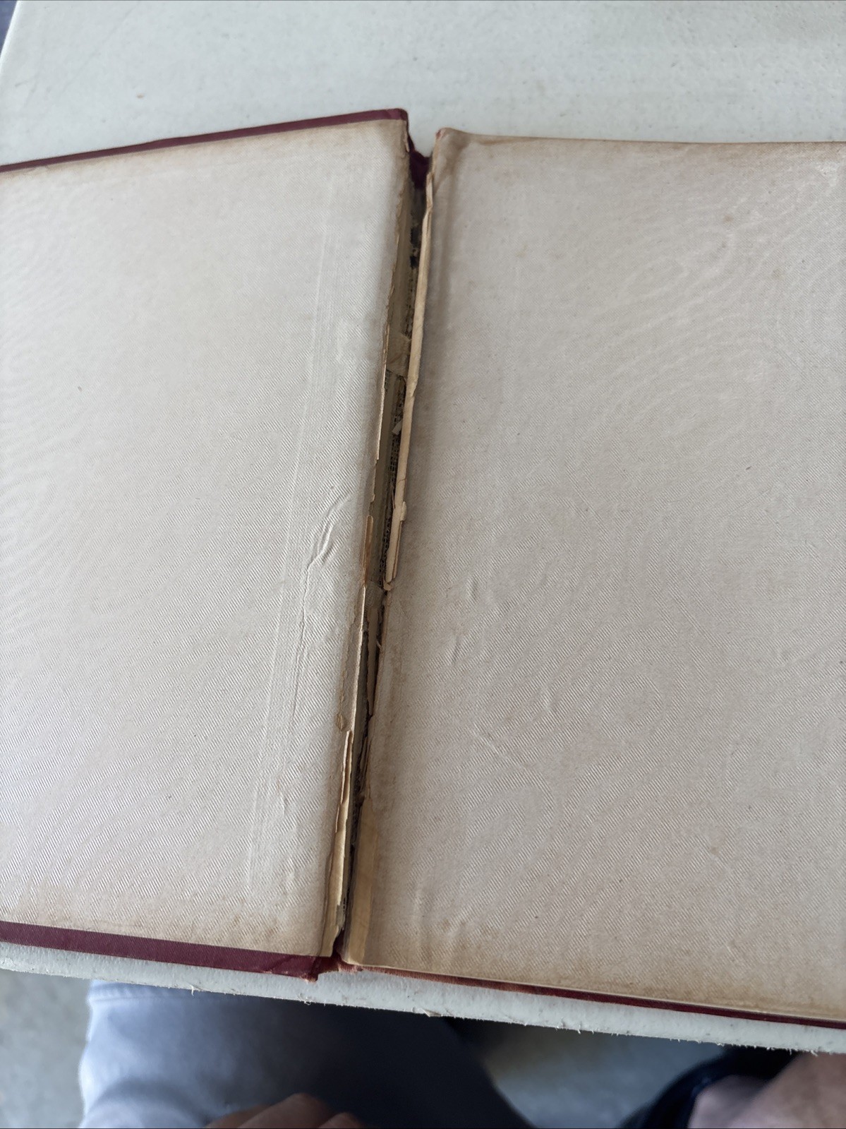 Antique Imperial Album of London Views Photo Book Westminster Abbey Royal