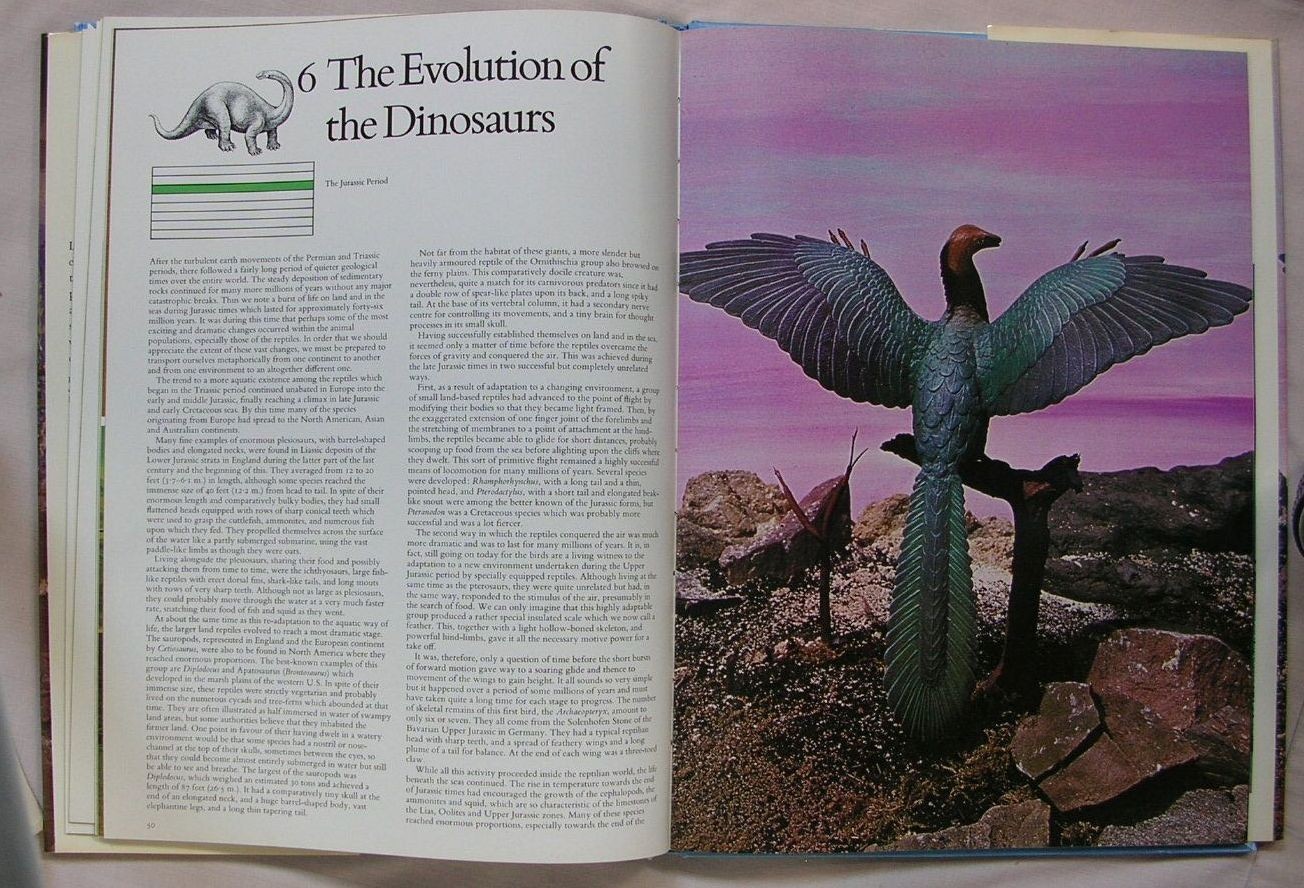 1st Ed PREHISTORIC ANIMALS Ellis Owen 1975 HC/DJ LIFE BEFORE MAN DINOSAUR BOOK