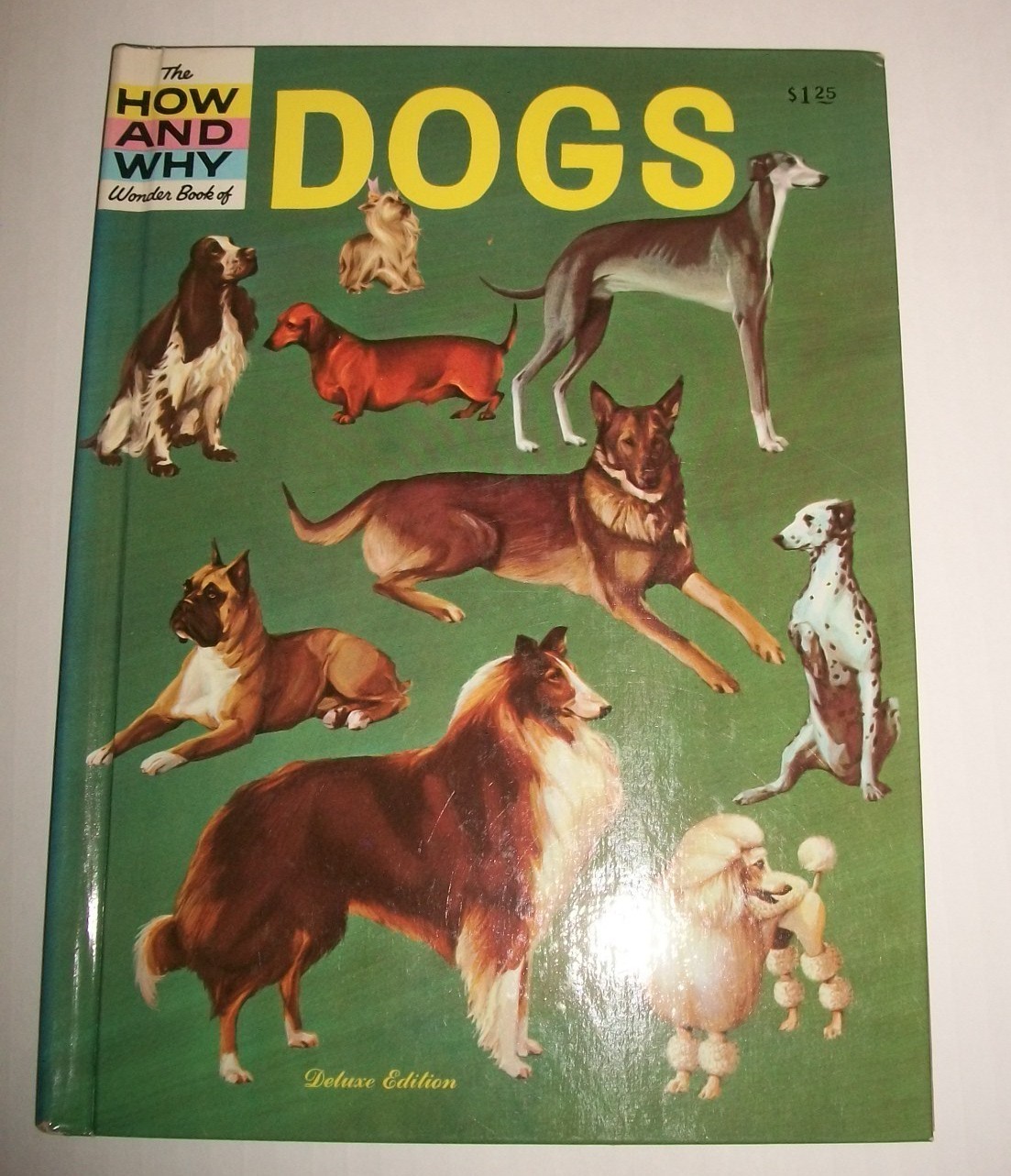 The How and Why Wonder Book of Dogs $1.25 Deluxe Edition G&D 1962 Robbin 4031 EX