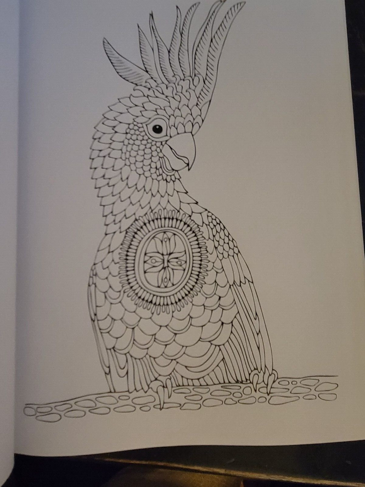 COLORS OF THE WILD Vol. 19 Adult Coloring Book With 47 Prints Ready To Frame!