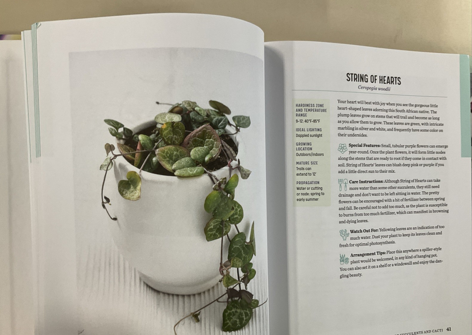 Succulent Obsession Complete Guide by Ken Shelf HC 2022 Rockridge Press