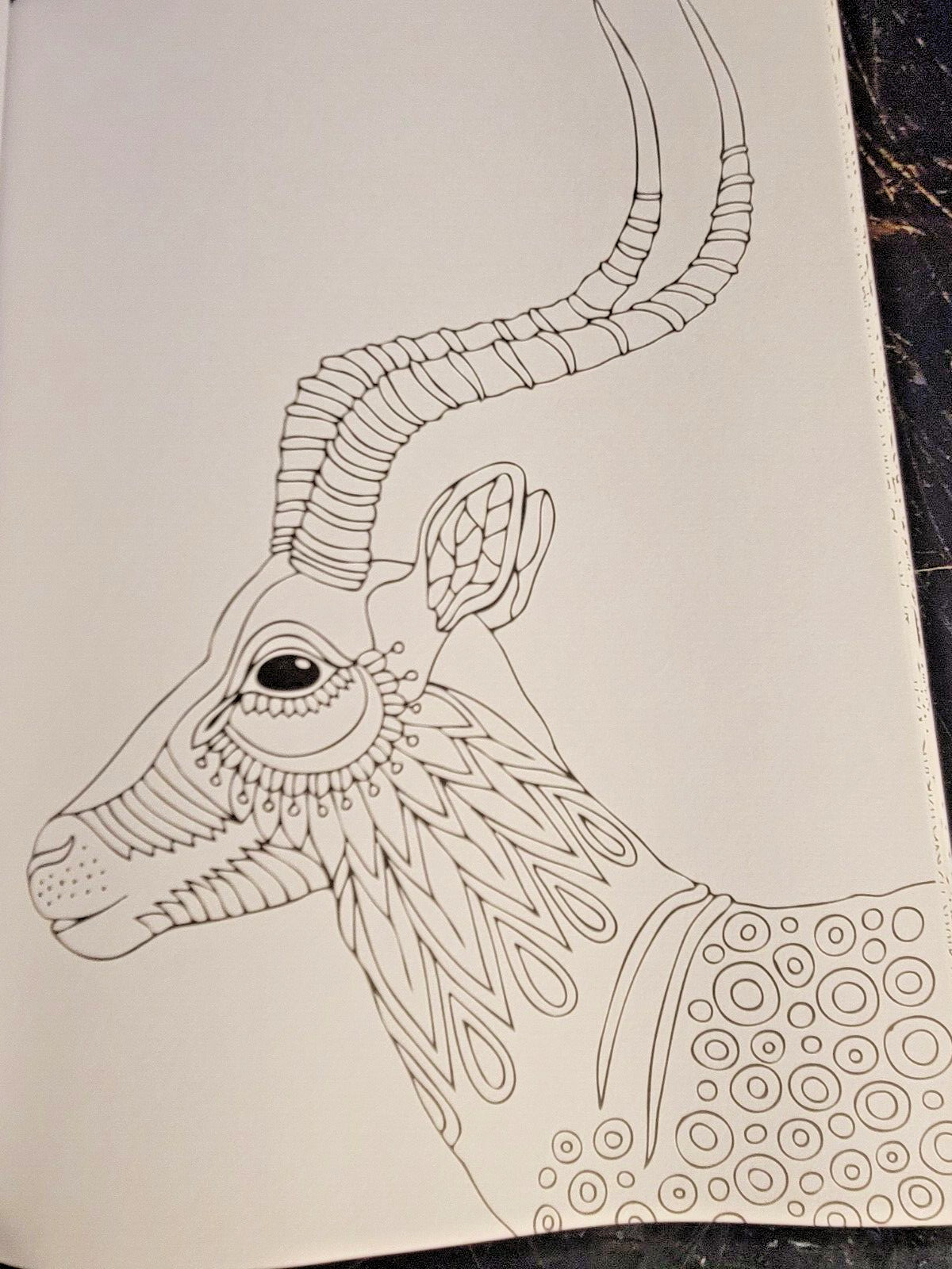 COLORS OF THE WILD! Vol. 16 Adult Coloring Book With 47 Prints Ready To Frame!
