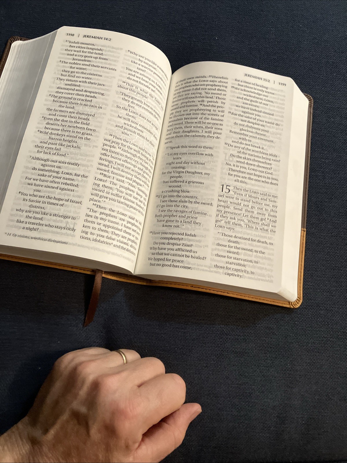 Holy Bible NIV Pew Bible, Large Print, 2009 Zondervan, Amber Duo-Tone Leather