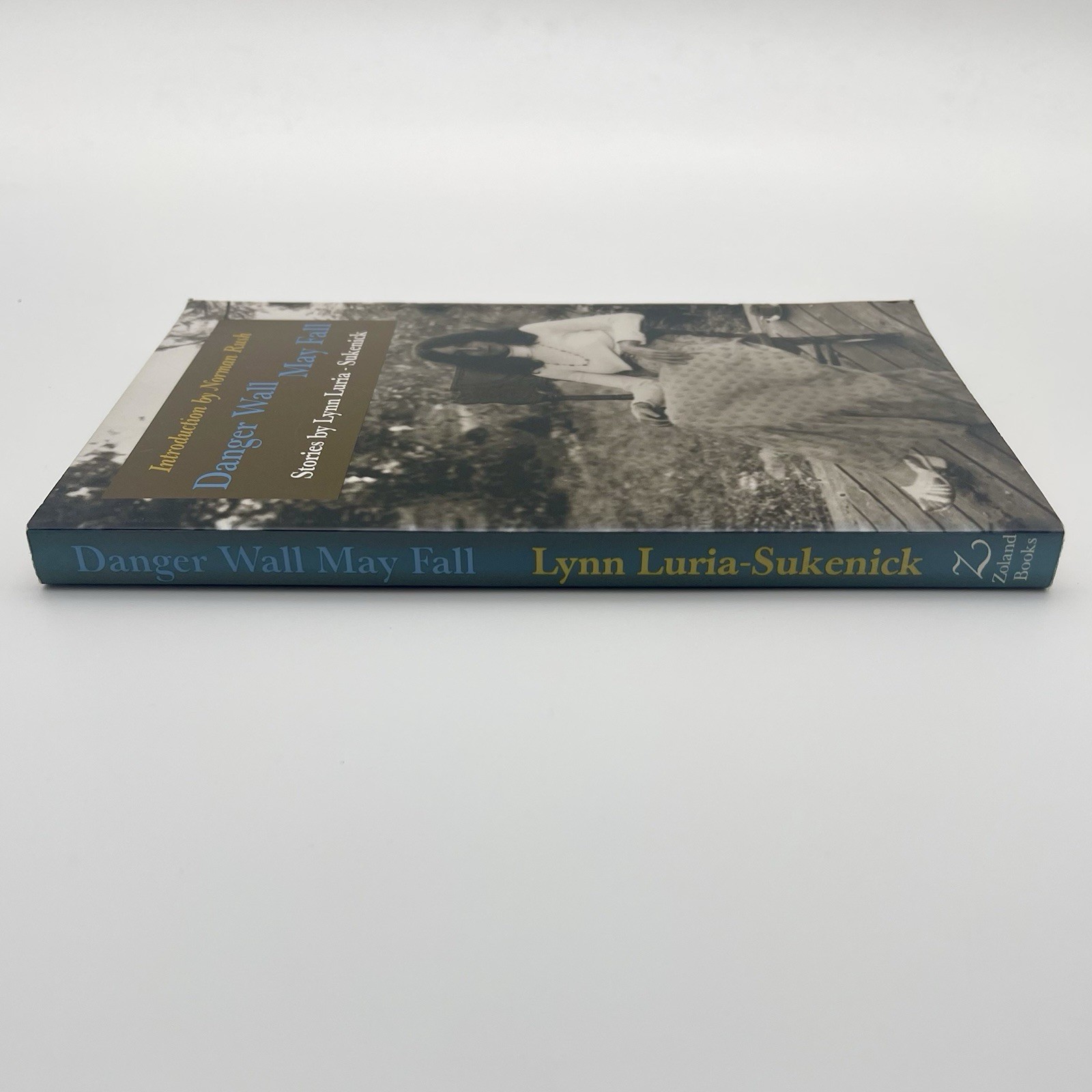Danger Wall May Fall — Lynn Luria-Sukenick | Literary Short Stories