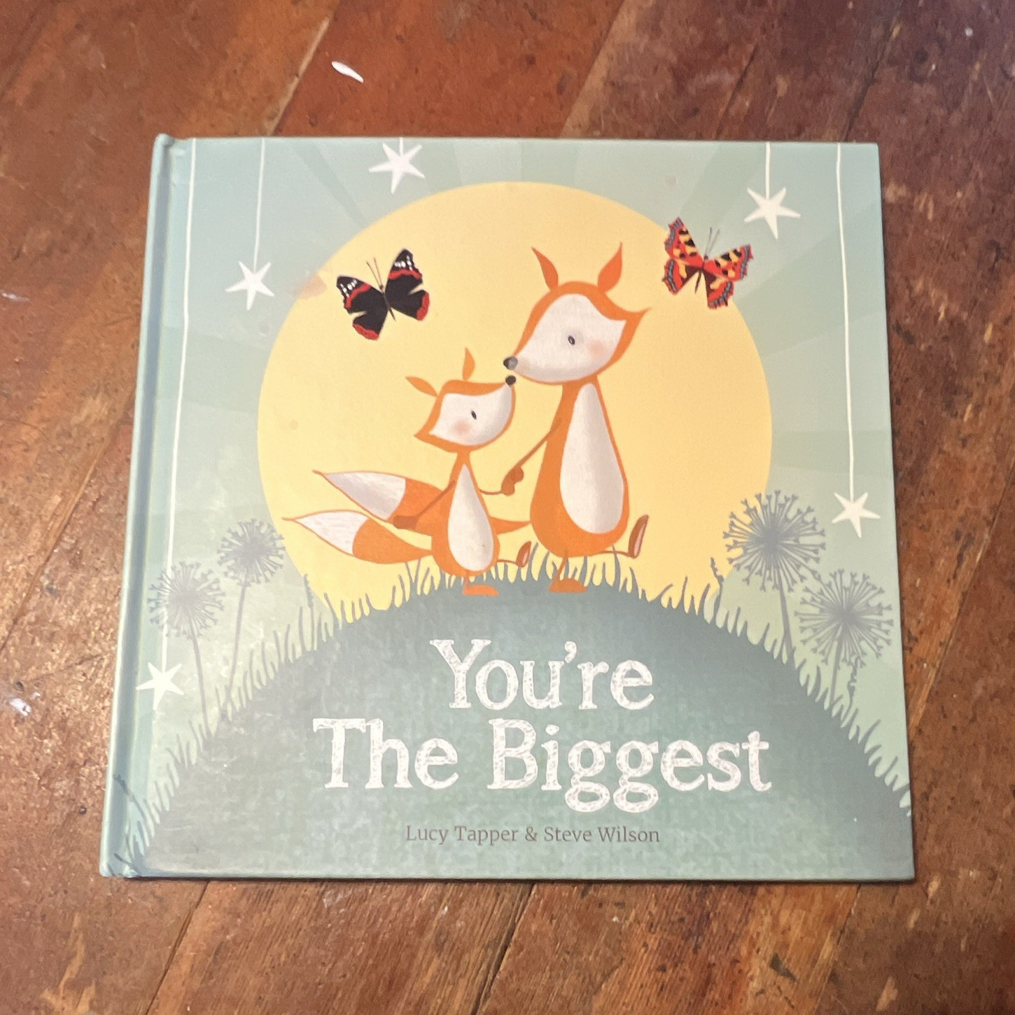 You’re The Biggest Lucy Tapper & Steve Wilson Hardcover Picture Book Ages 4-8