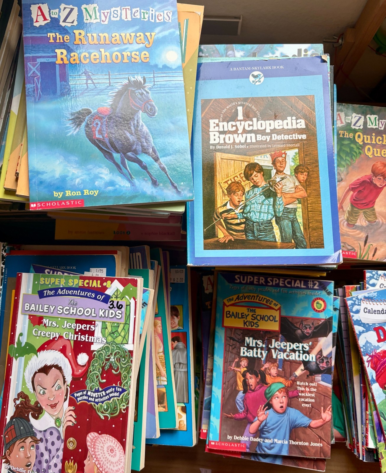 Lot of 30 Kids Early Chapter Books Readers Instant Library Paperback Bundle