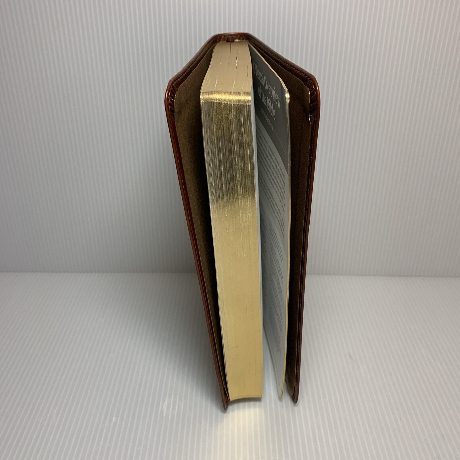 KJV Thinline Reference Bible, Filament-Enabled Edition, Red Letter, LeatherLike