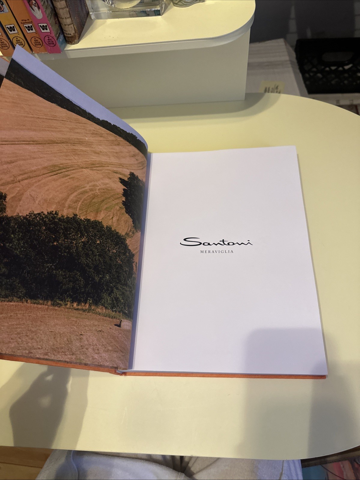 SANTONI MERAVIGLIA MAGAZINE BOOK INTERIOR DESIGN HC COLLECTIBLE TABLETOP BOOK 02