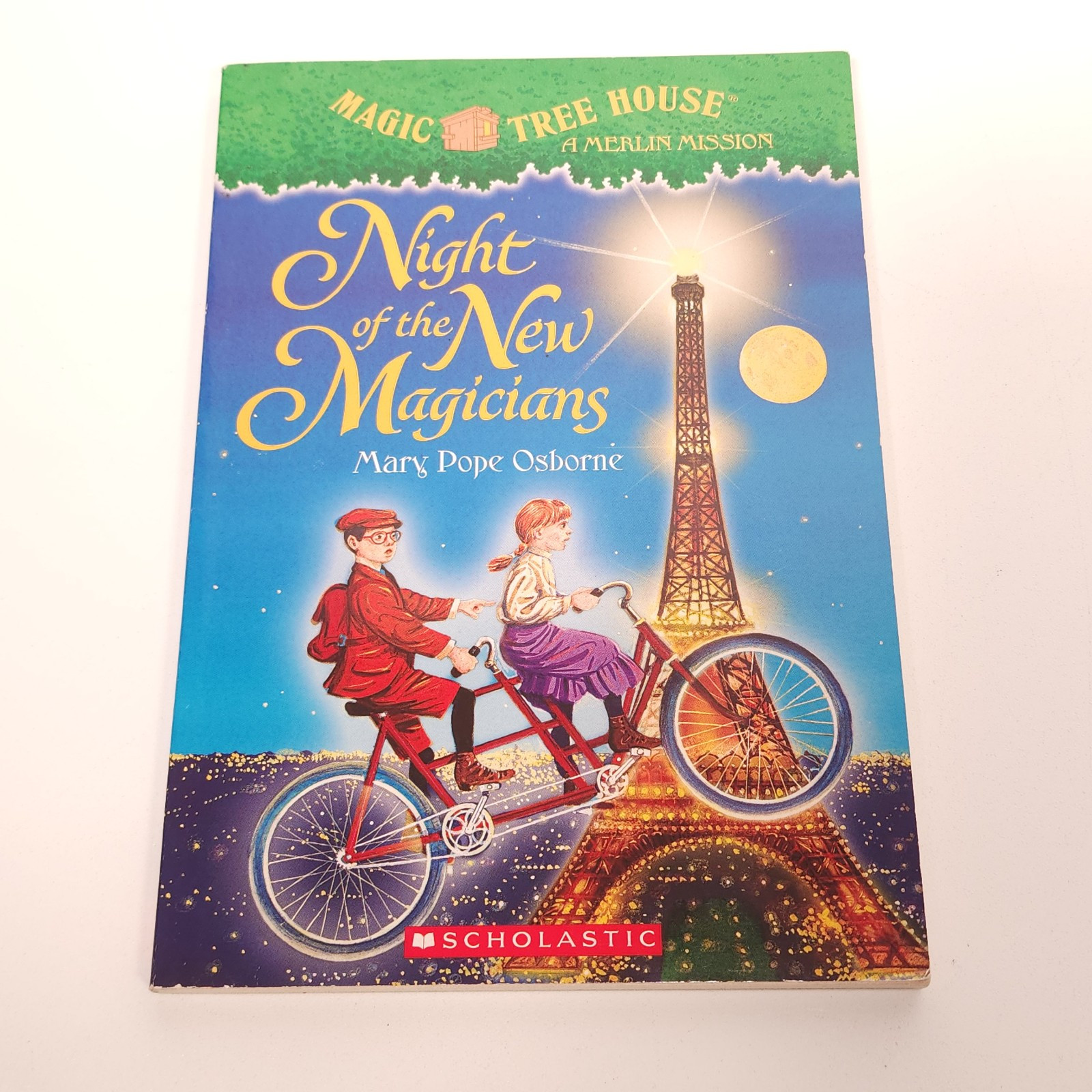 Magic Tree House Lot 10 Books Mary Pope Osborne Merlin Missions Fact Trackers PB