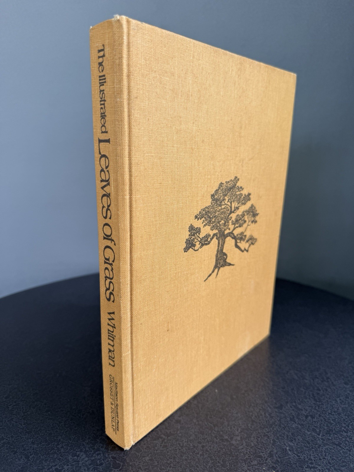 The Illustrated Leaves of Grass Walt Whitman (Hardcover, 1971)