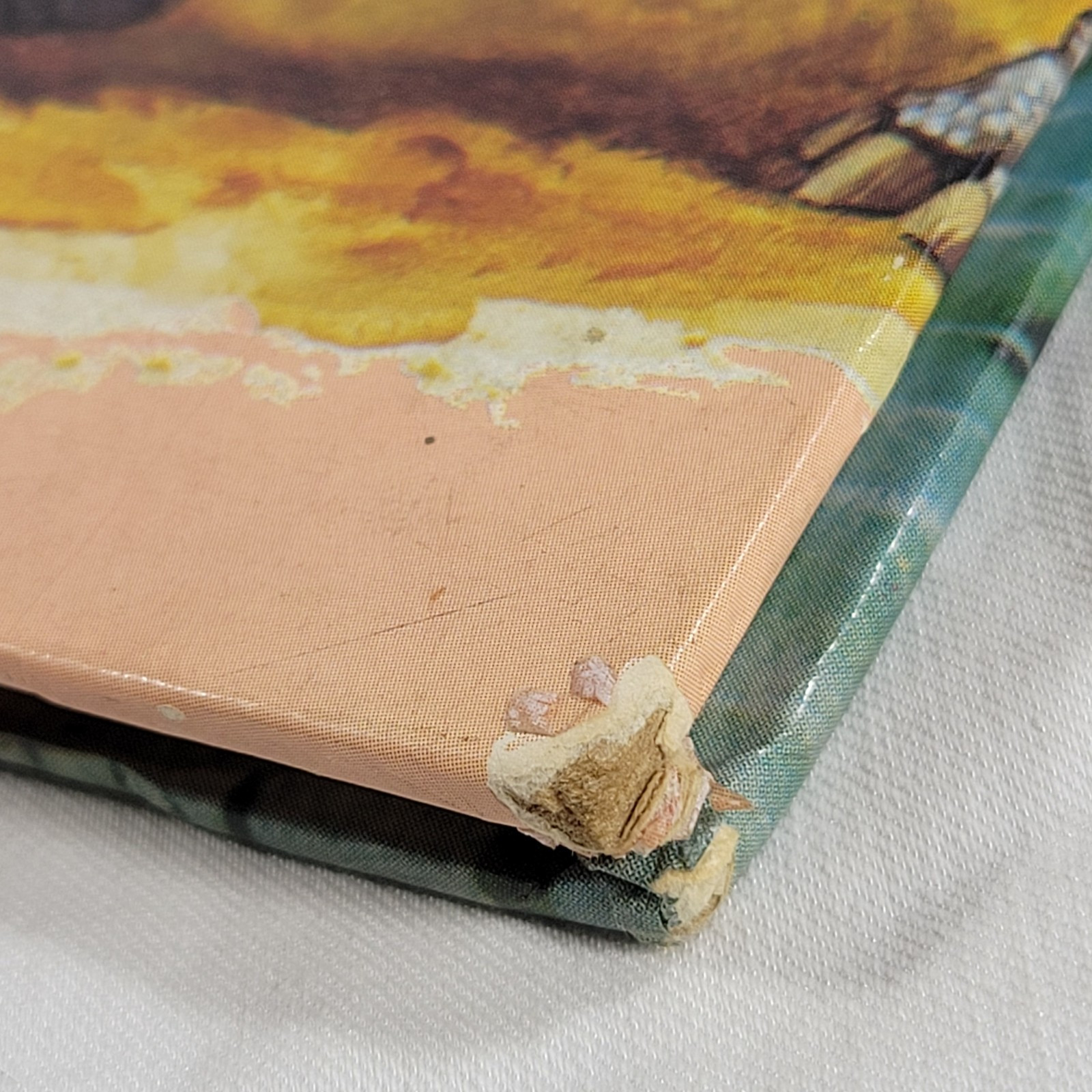 Dinosaurs And Prehistoric Animals Book Vintage 1981 Kid’s Hardcover Honey Bear
