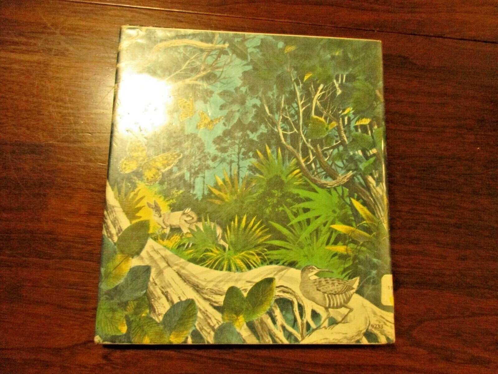 Islands Of The Tiny Deer by Julian May Illustrated by Rod Ruth Wildlife FL Keys