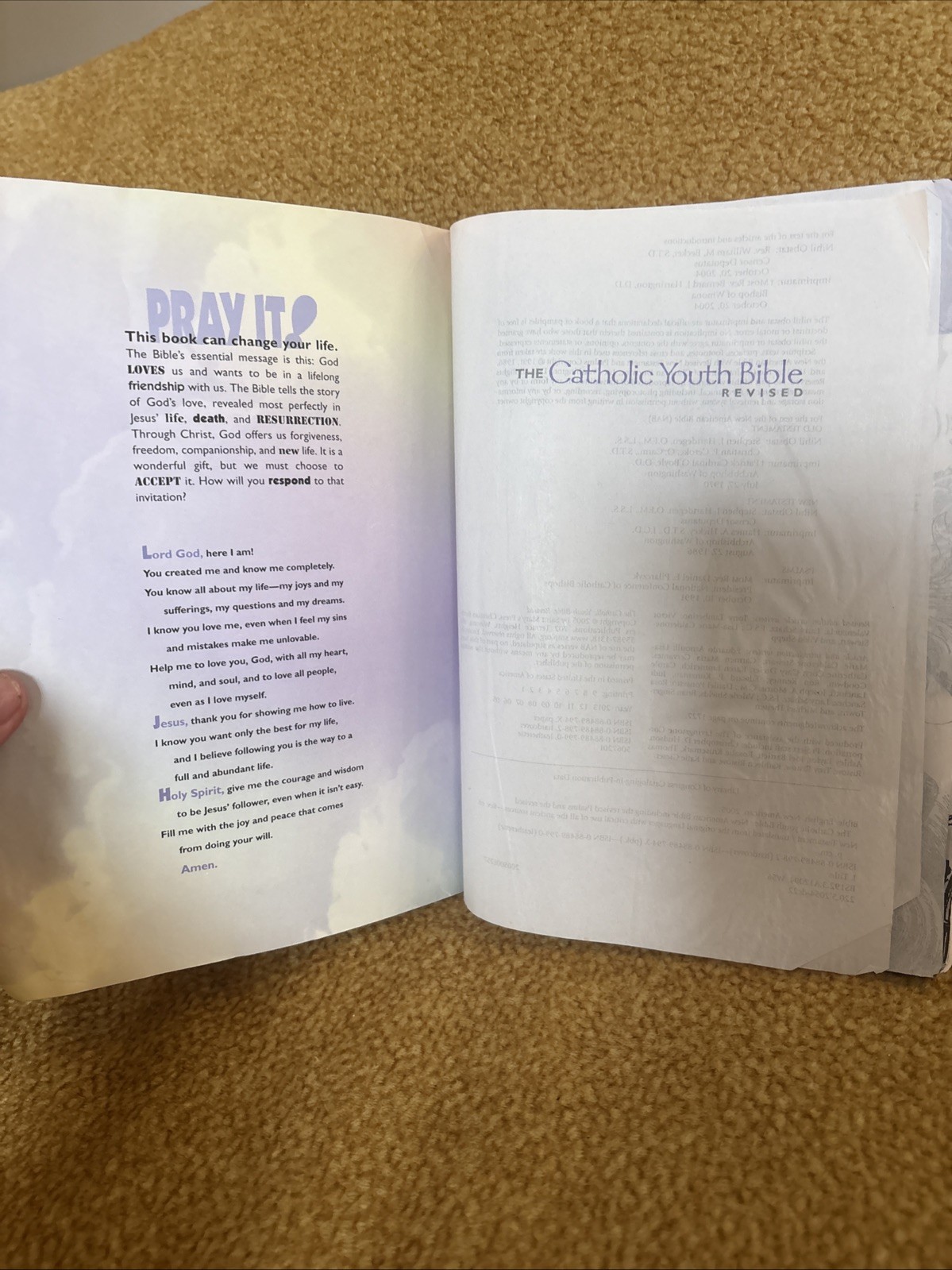 The Catholic Youth Bible Revised NAB Saint Mary’s Press Softcover 2005 B48