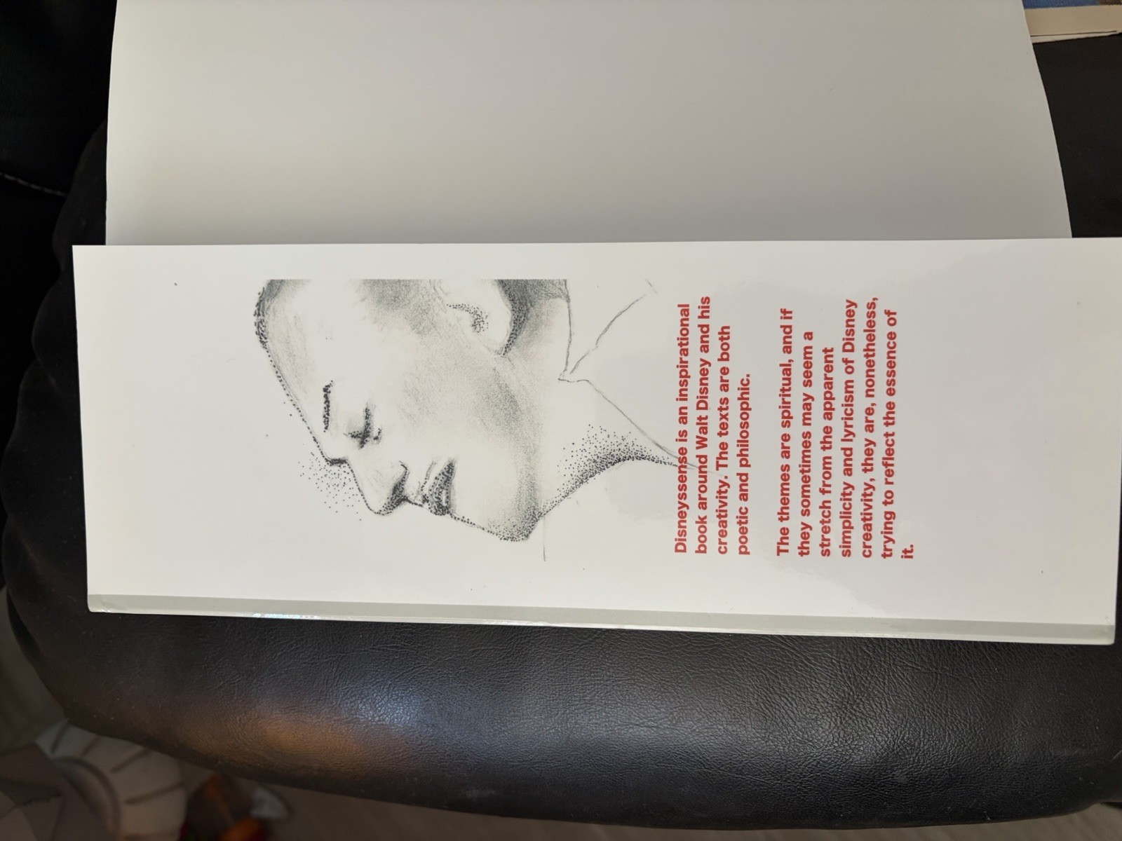 Rare Disney Sense Emma Lavin Signed Blurb Hardcover Walt Disney Art Book
