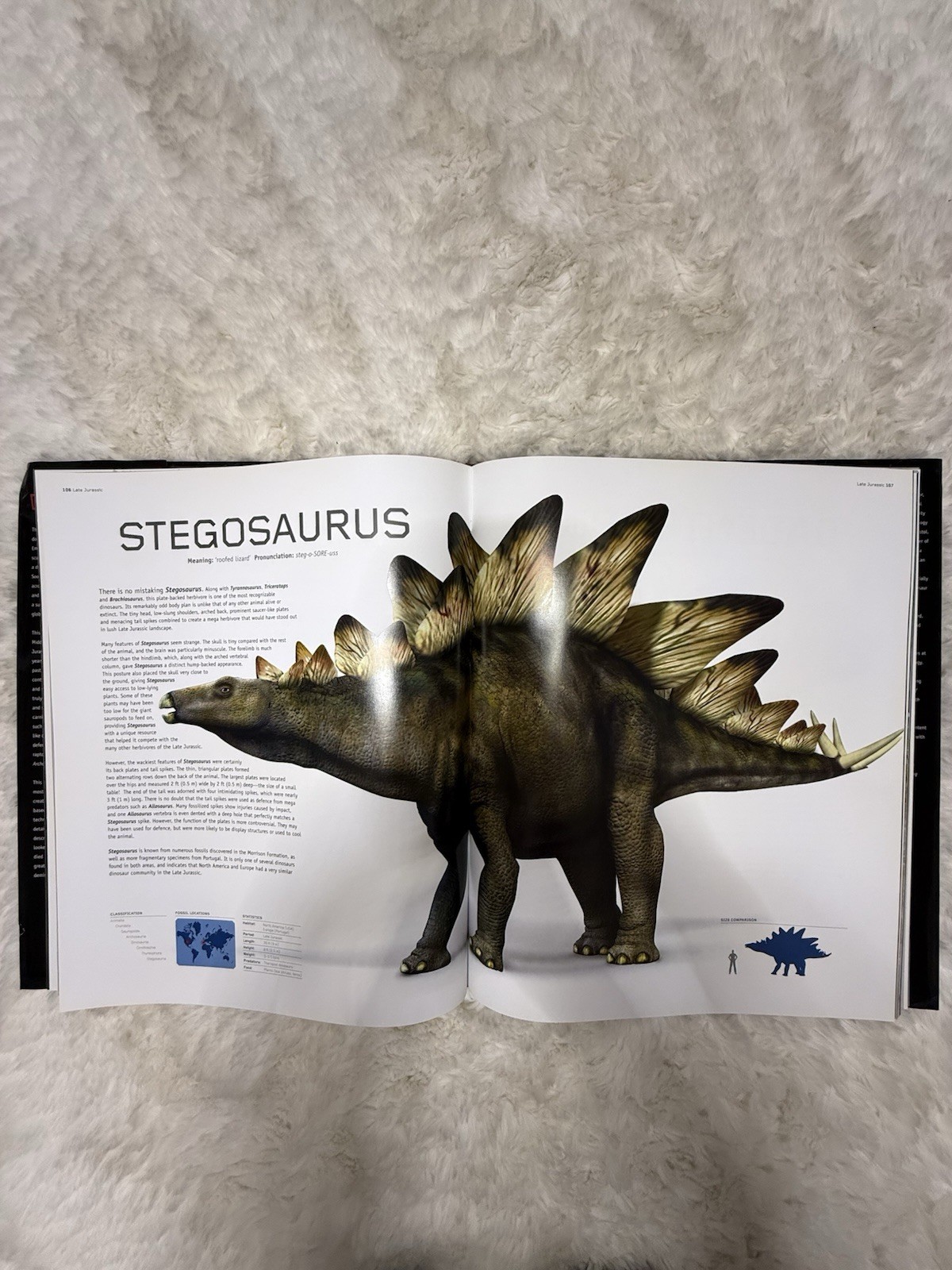 Dinosaurs by Steve Brusatte (2008, Hardcover)