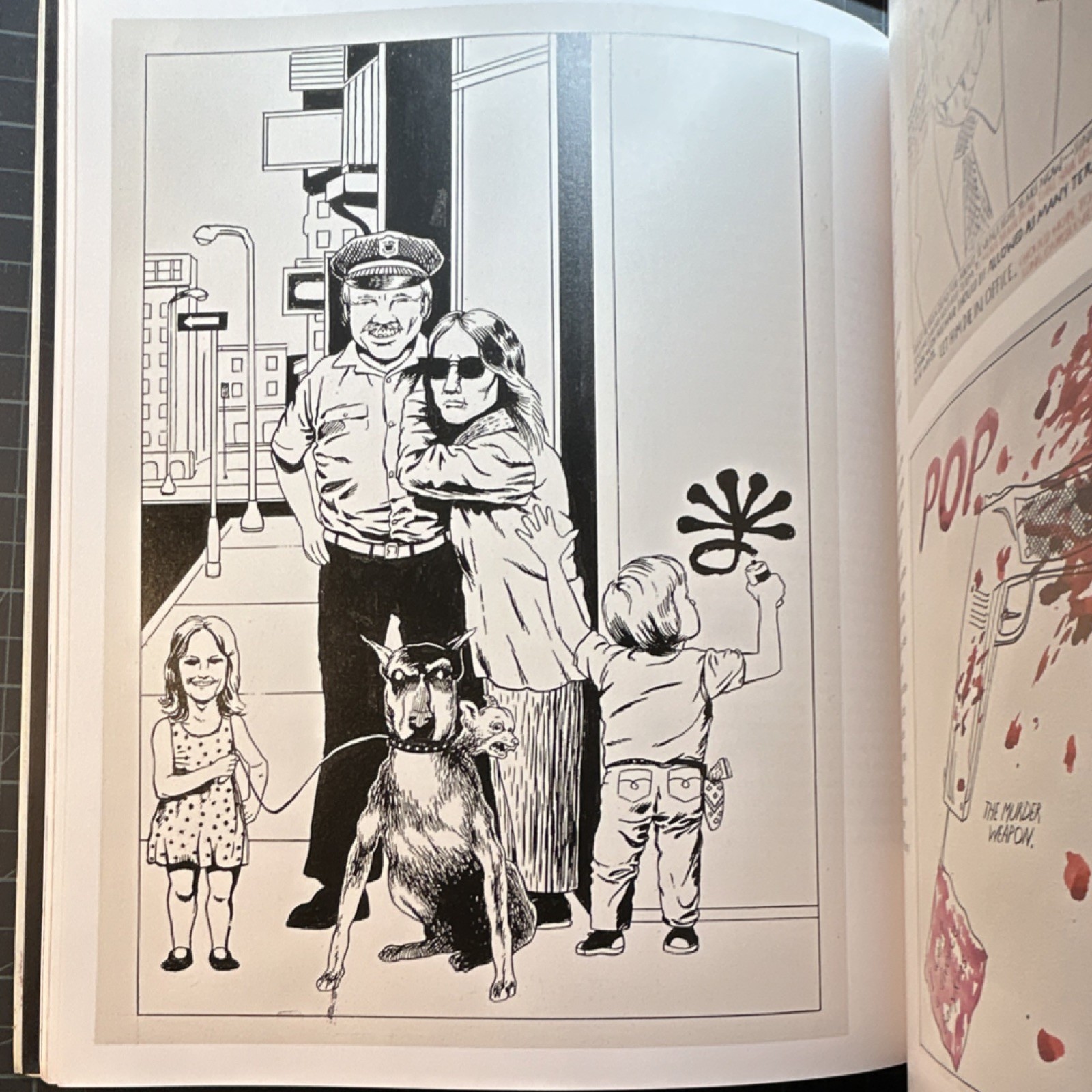 Raymond Pettibon Art Book Softcover Phaidon Press 2001 Illustrated First Edition