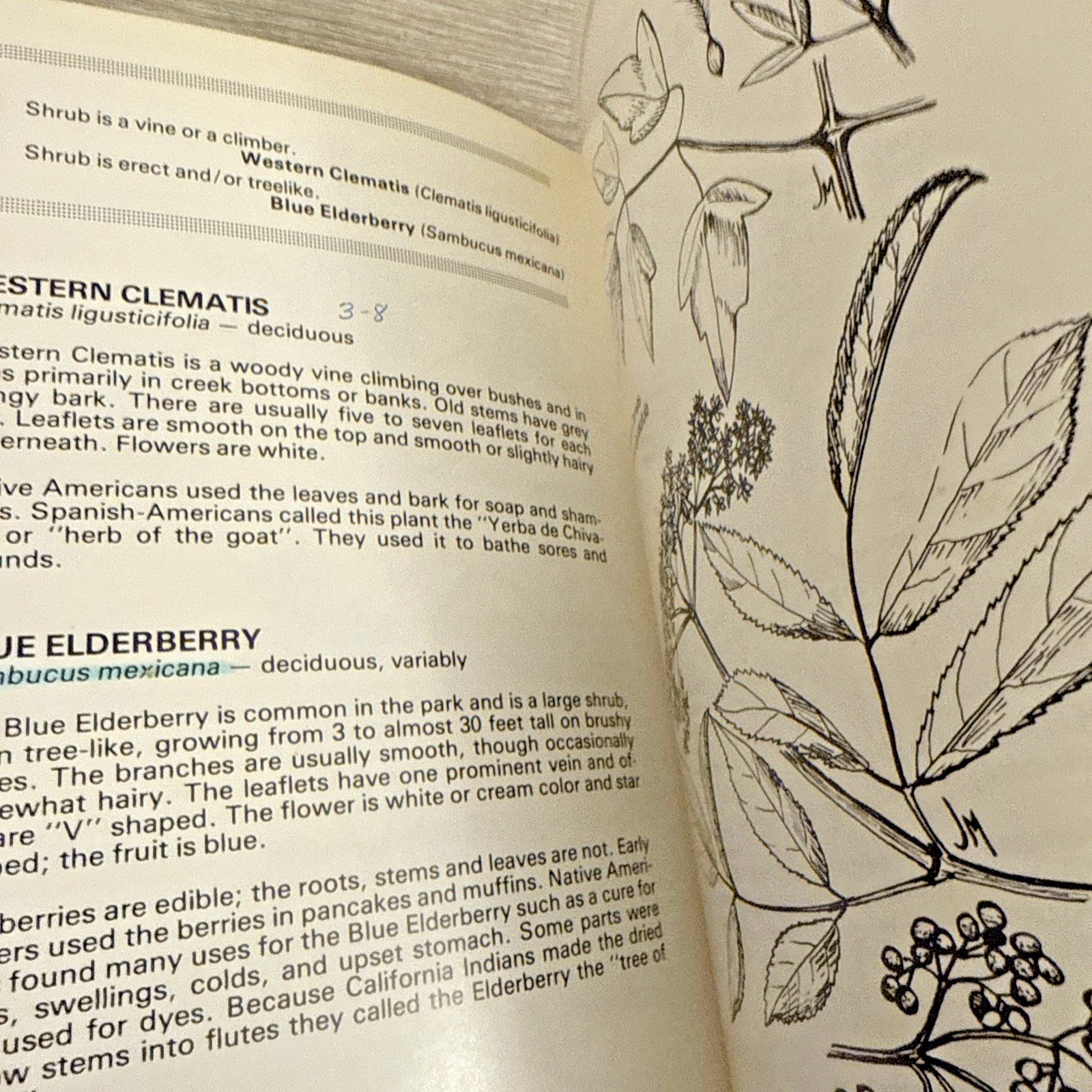 Lot 4 Books Wildflowers & Plants By Different Authors