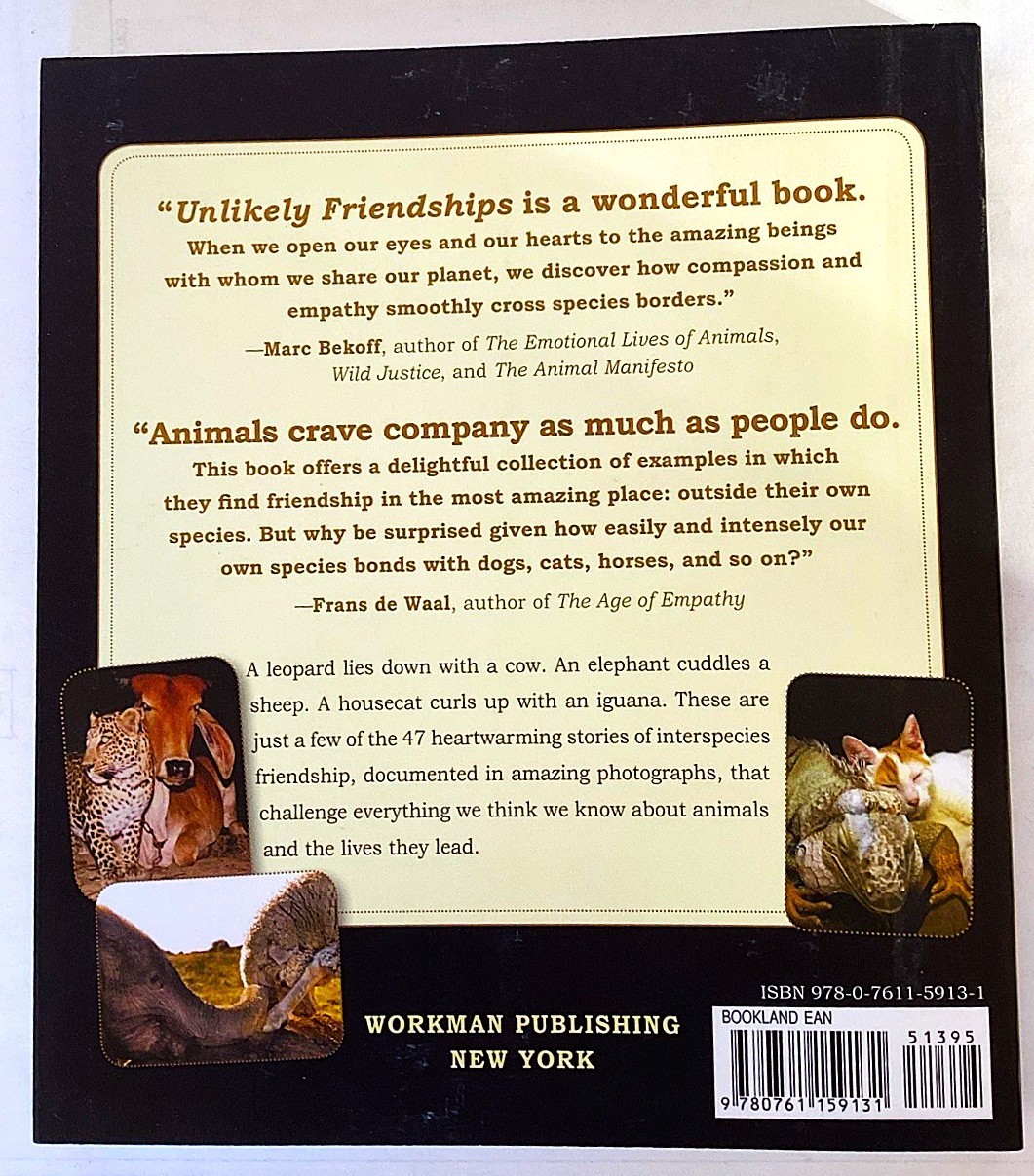 Unlikely Friendships Jennifer S. Holland BRAND NEW First Edition Softcover