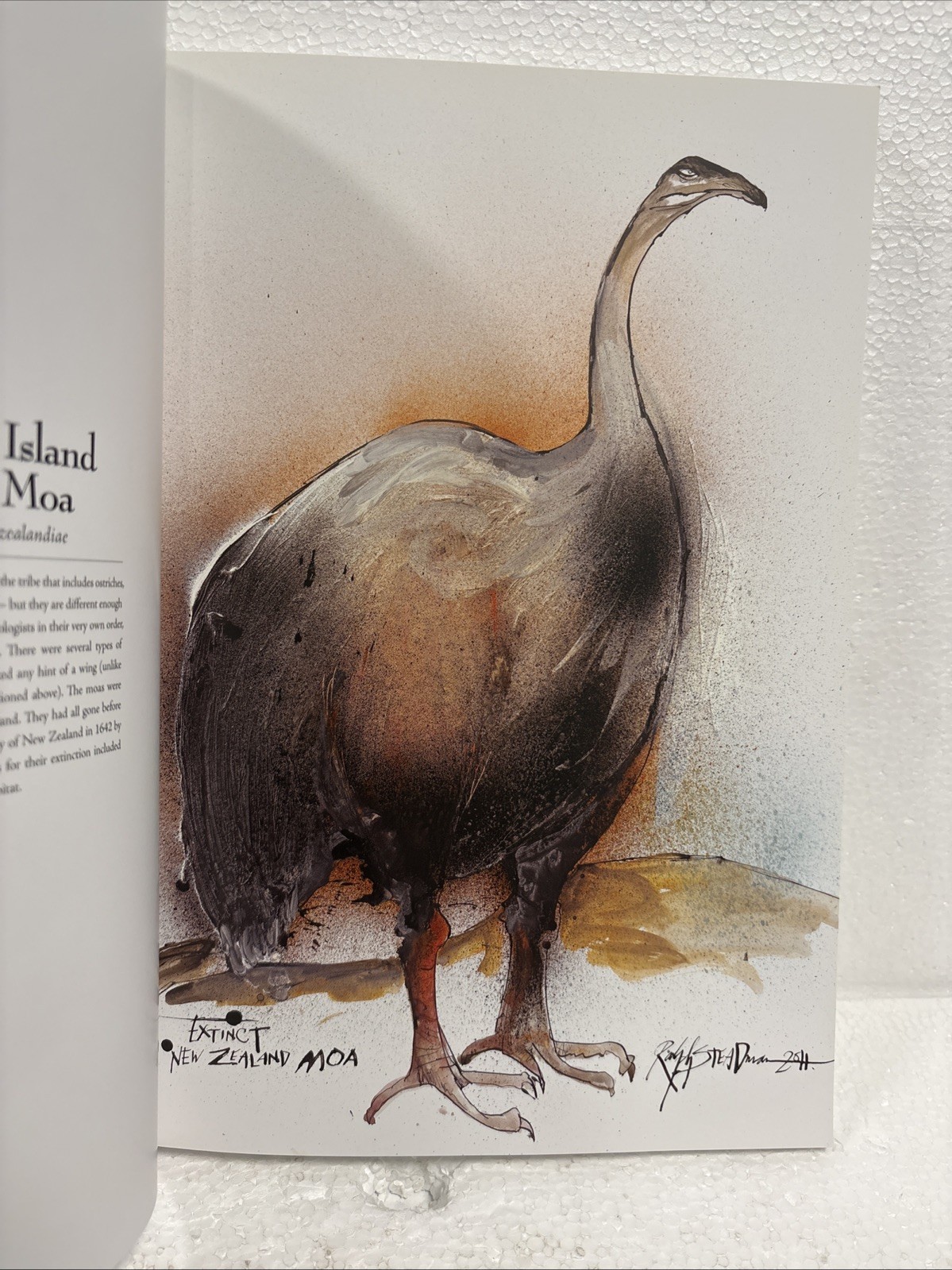 Extinct Boids by Ceri Levy and Ralph Steadman, 2020, First Printing