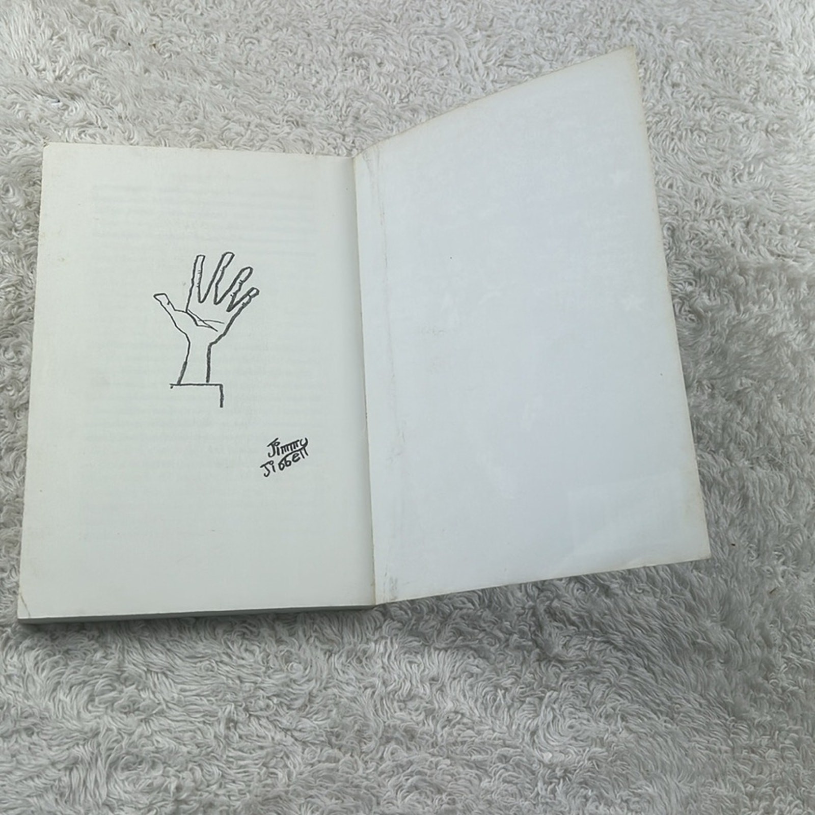 Bundle Jules Feiffer novels – The Man in the Ceiling and A Room with a Zoo