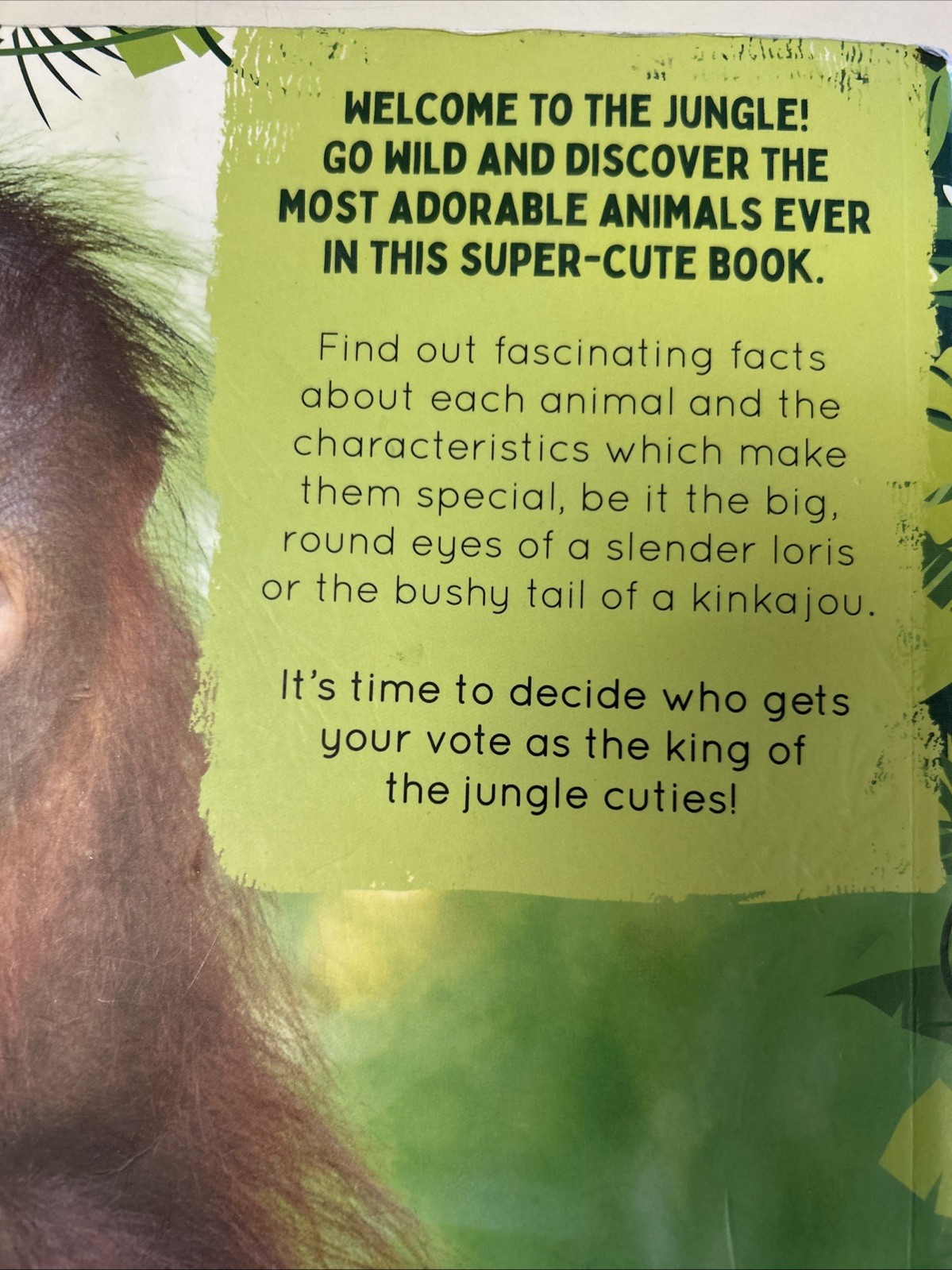 Cutest Jungle Animals Ever – Paperback By Camilla De La Bedoyere