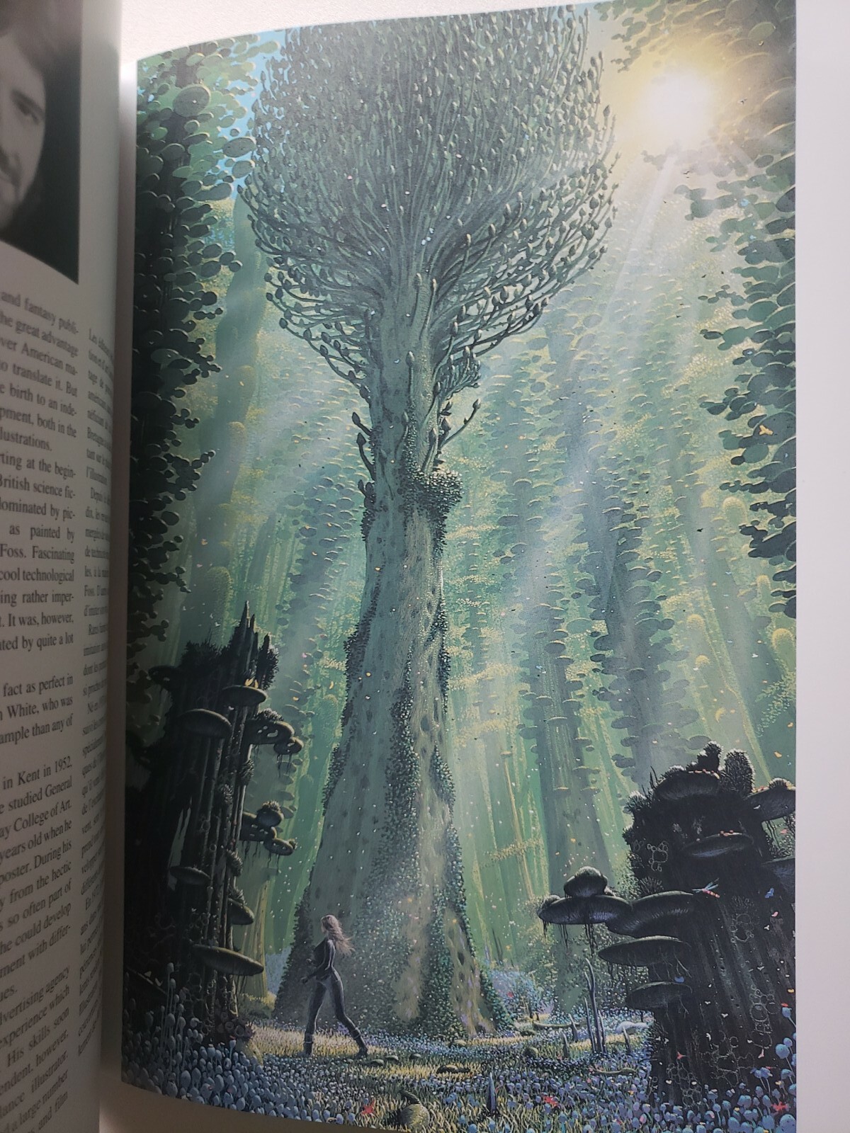 Masterpieces of Fantasy Art softcover book